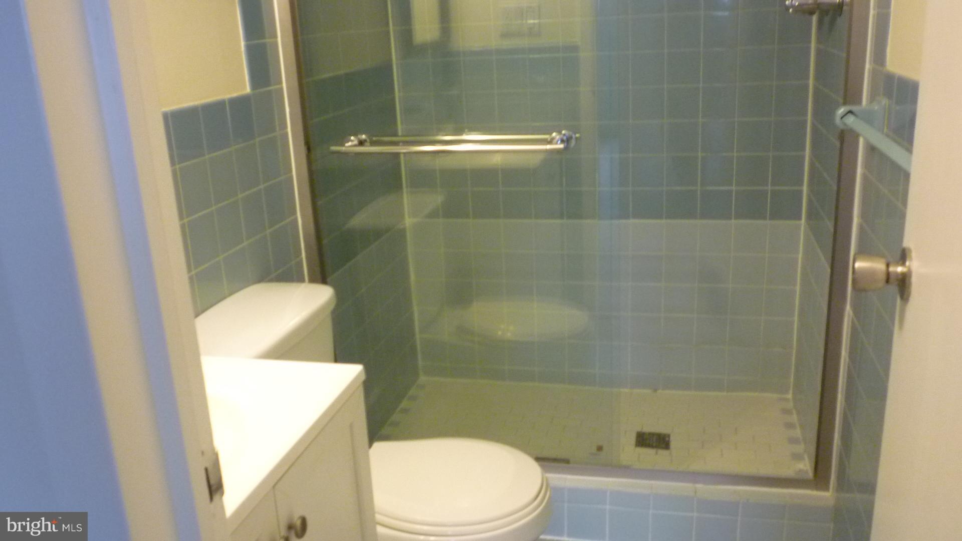 1111 University Boulevard West, Unit 1406A Silver Spring, MD 20902 - Photo 30 of 41 Master Bath