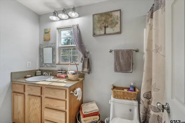 a bathroom with a sink toilet and mirror