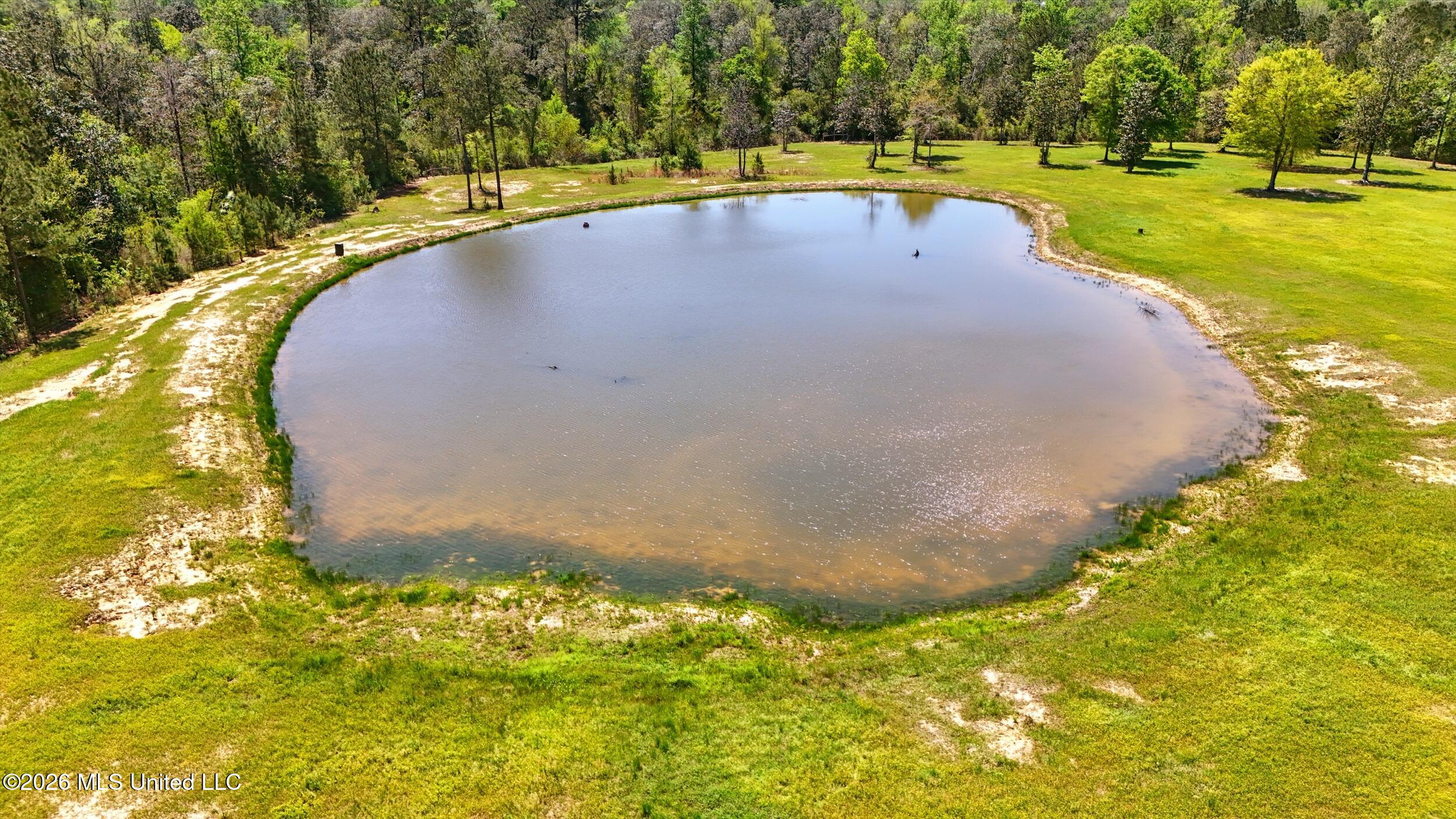 110 Tyner Branch Road Wiggins, MS 39577 - Photo 58 of 83 58_pond 1