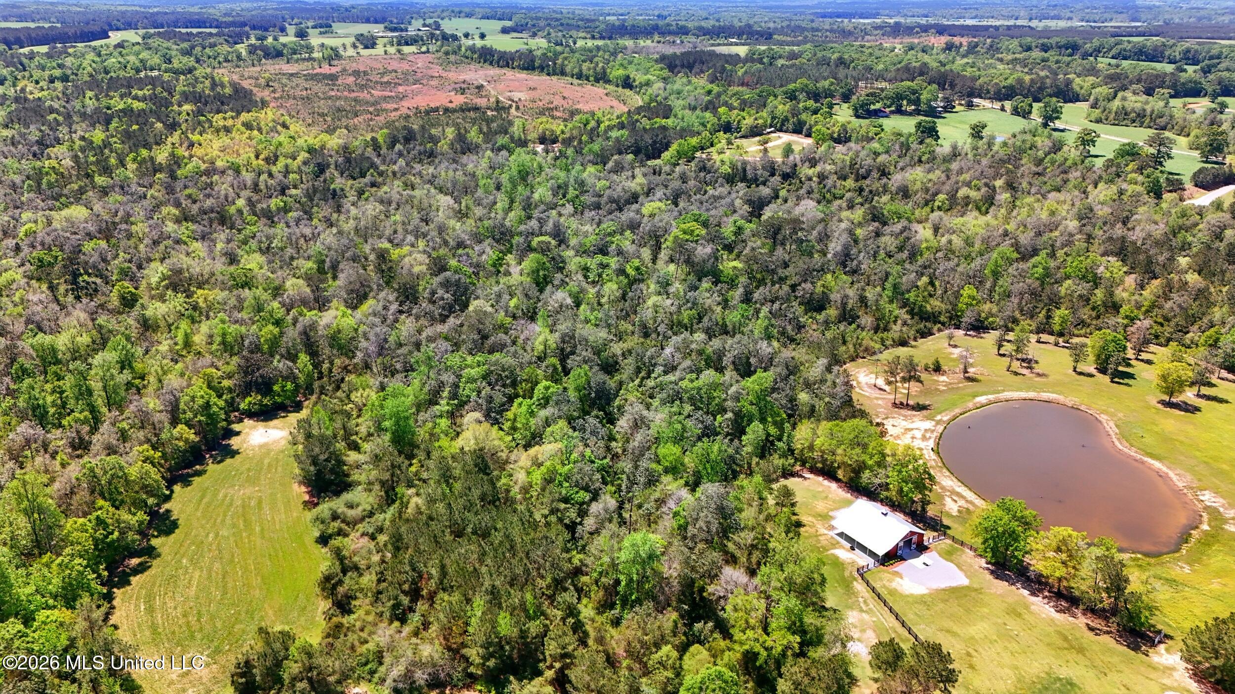 110 Tyner Branch Road Wiggins, MS 39577 - Photo 59 of 83 59_aerial 5