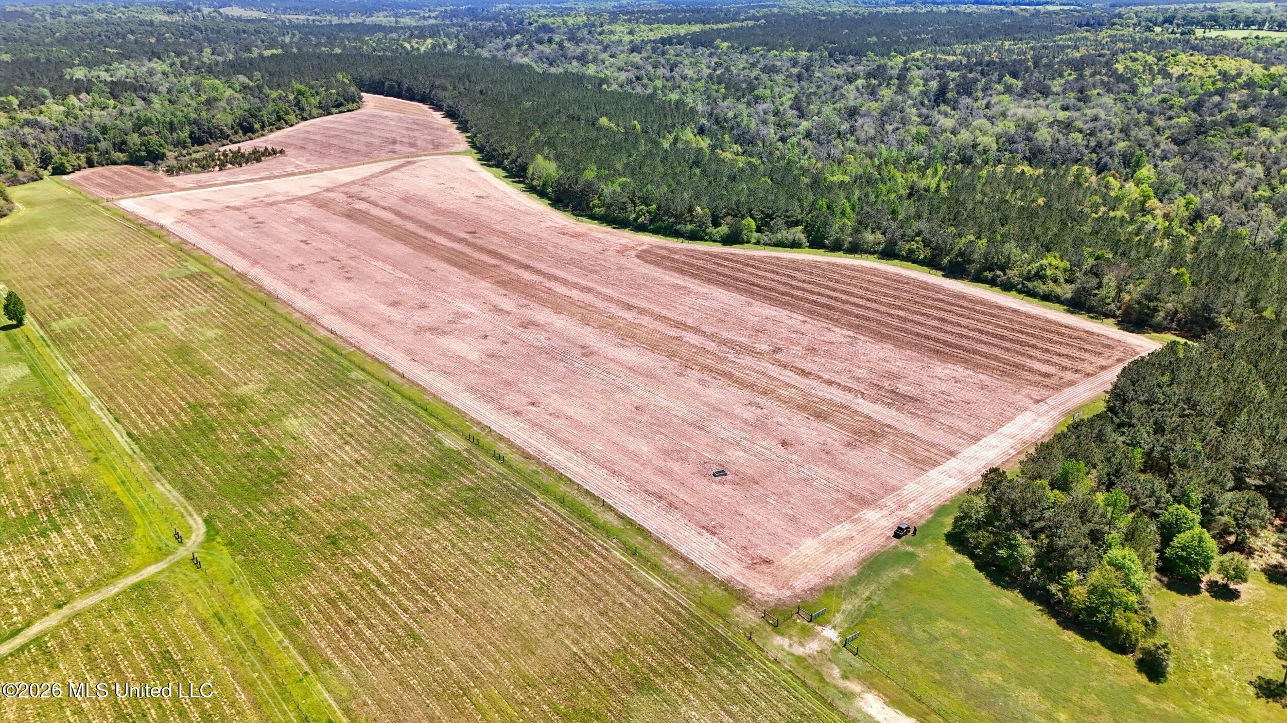 110 Tyner Branch Road Wiggins, MS 39577 - Photo 60 of 83 60_back field 1