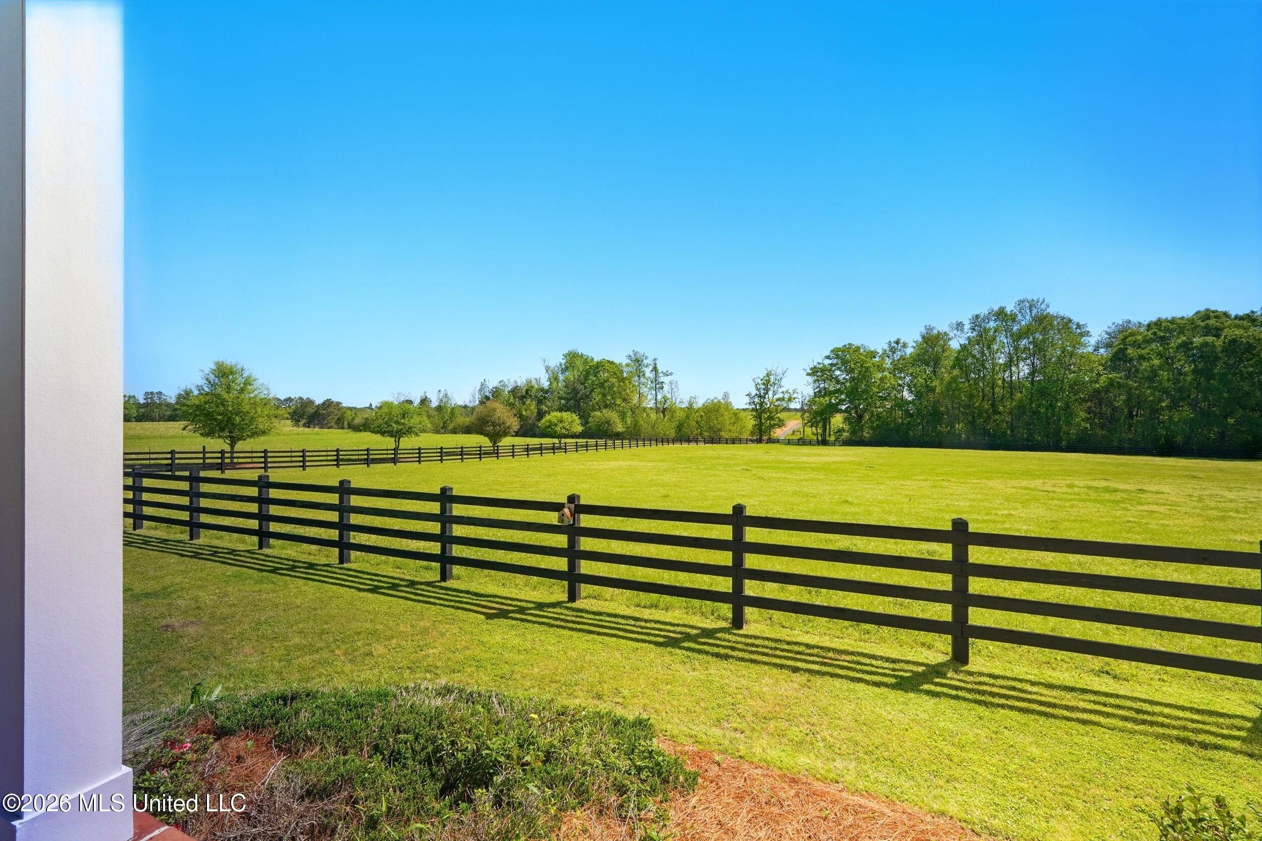 110 Tyner Branch Road Wiggins, MS 39577 - Photo 65 of 83 65_front field 1