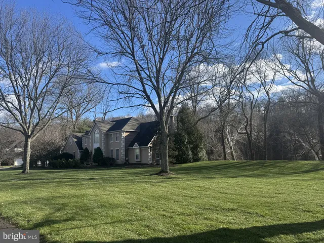 a view of a park with large trees