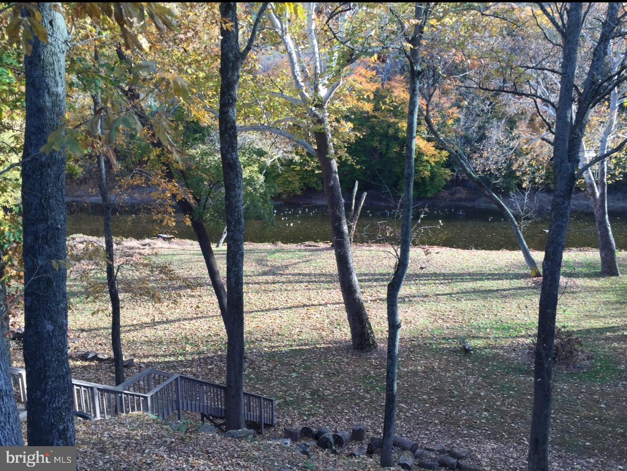 880 Macclesfield Road Furlong, PA 18925 - Photo 7 of 7 a view of outdoor space and trees