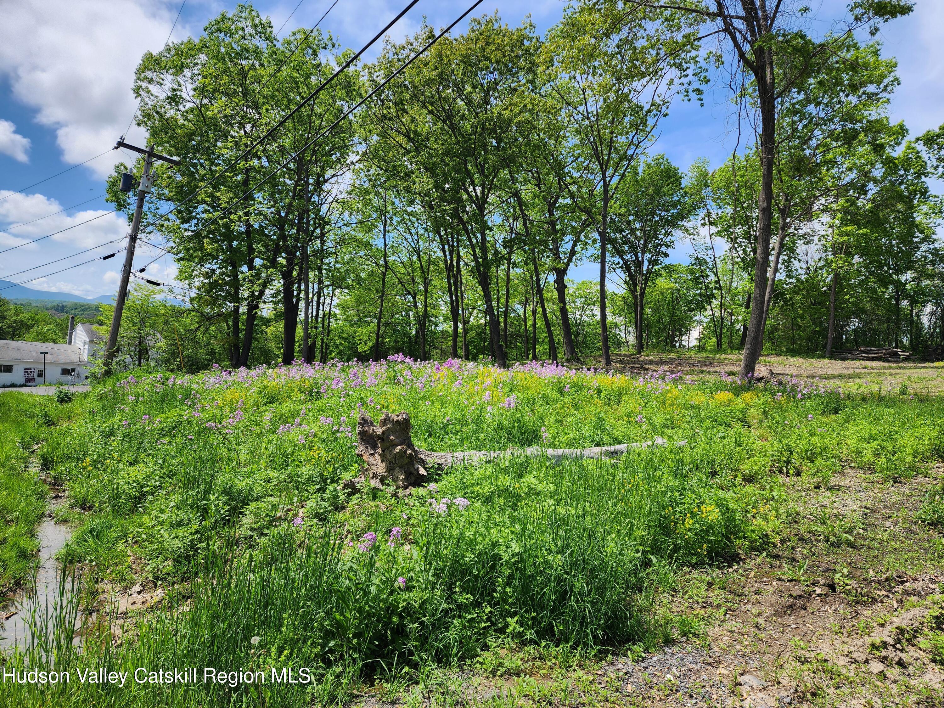 28 Vosenkill Road Catskill, NY 12414 - Photo 12 of 14 vacant land