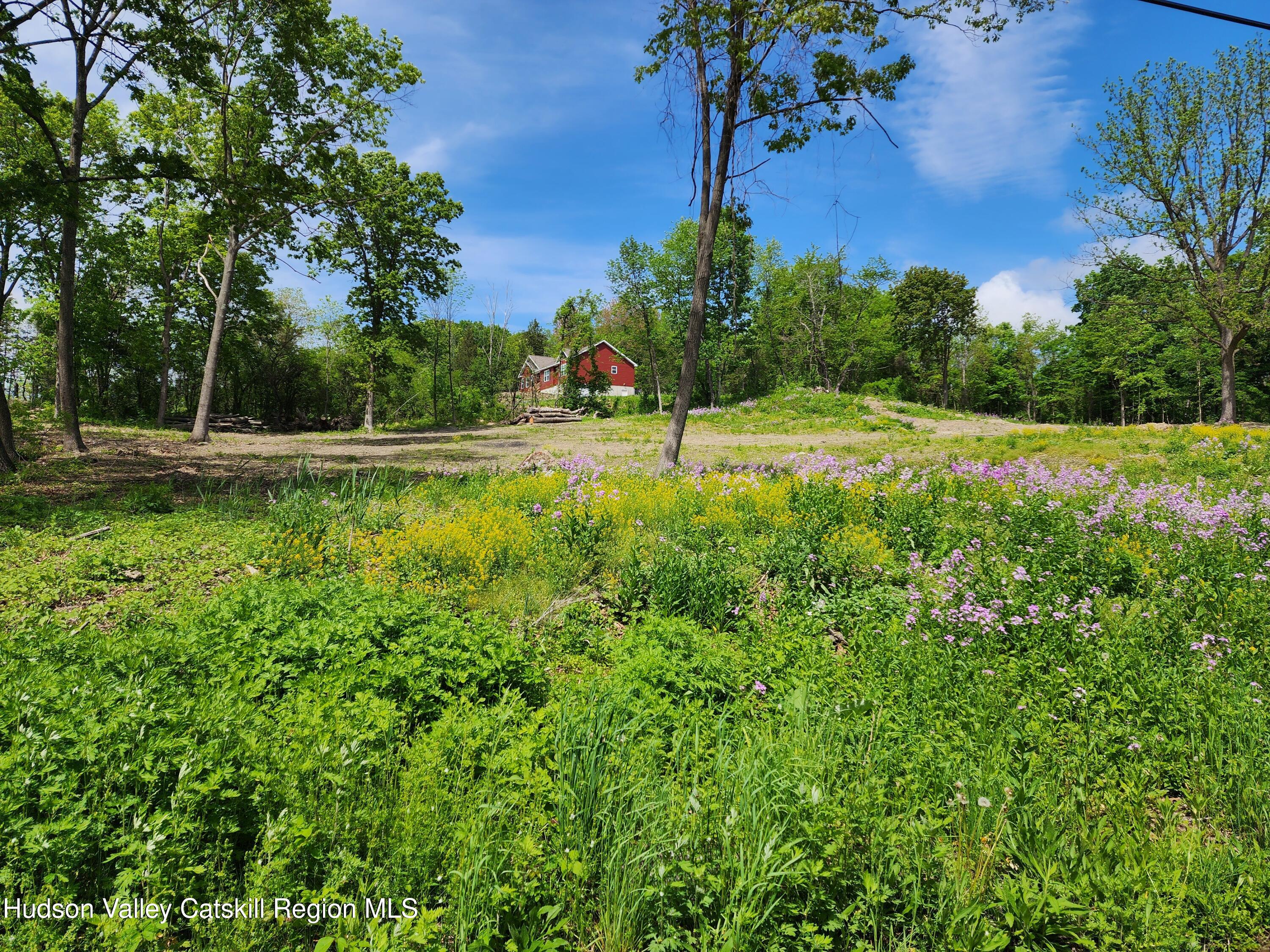 28 Vosenkill Road Catskill, NY 12414 - Photo 3 of 14 vacant land
