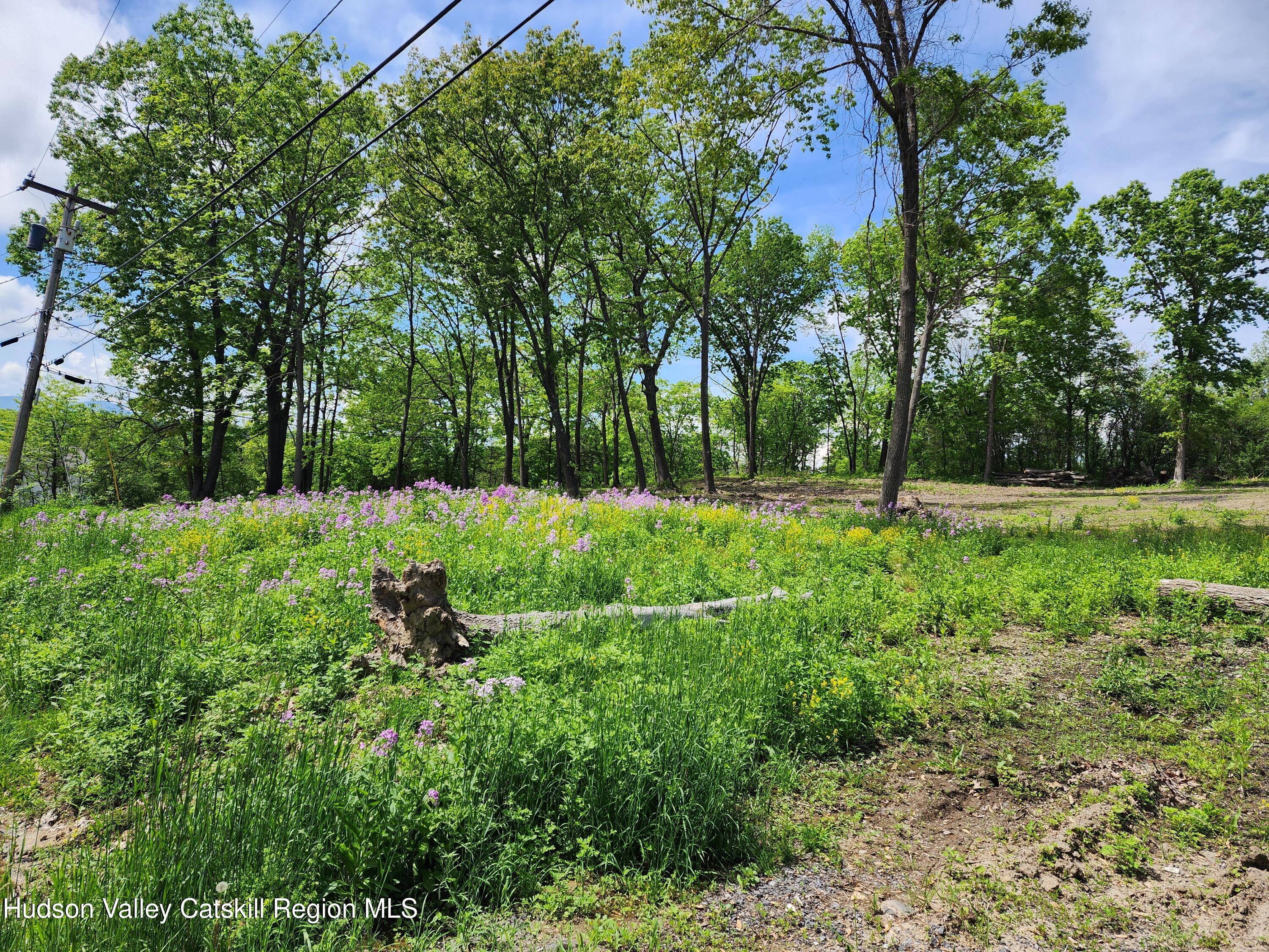 28 Vosenkill Road Catskill, NY 12414 - Photo 4 of 14 vacant land