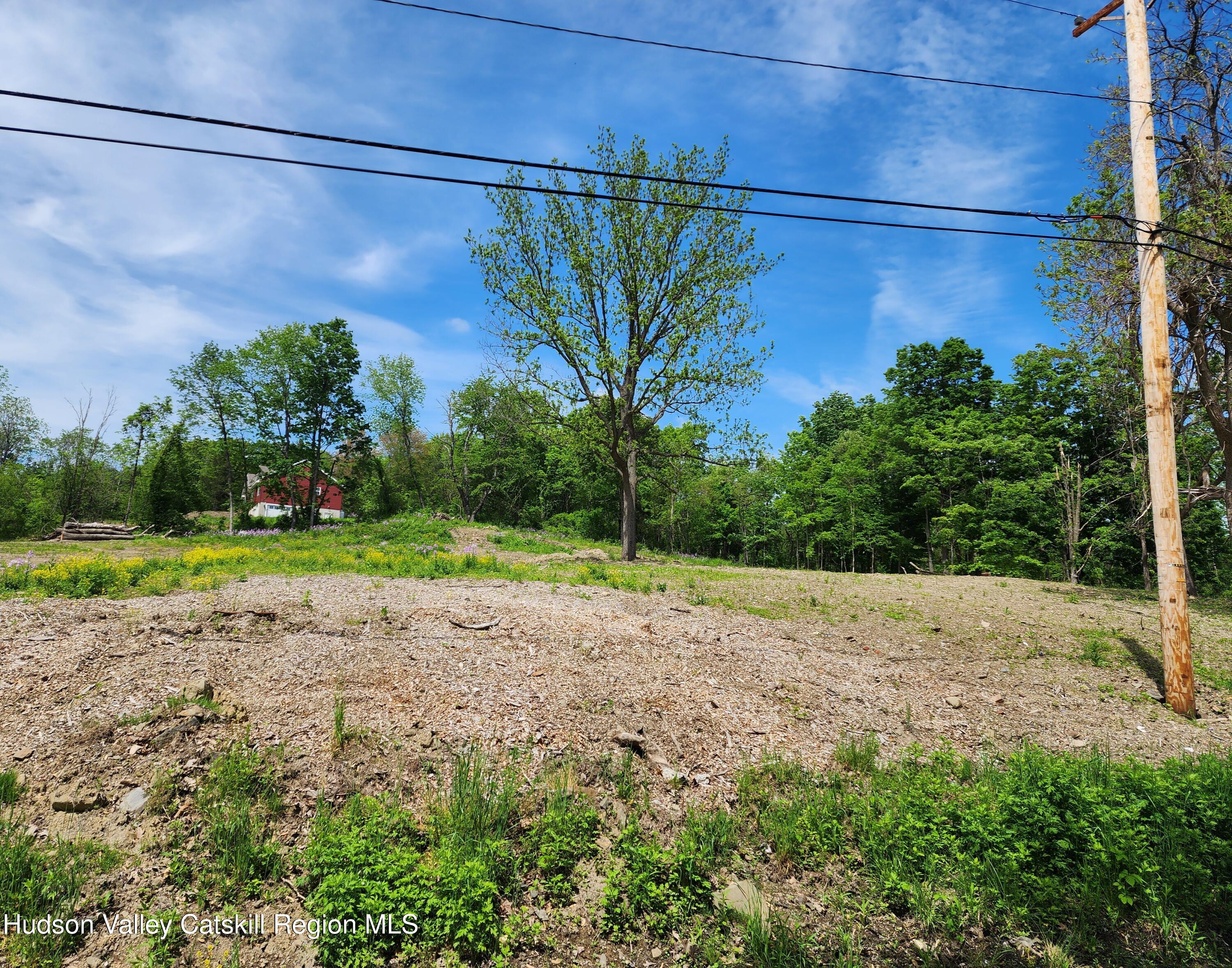 28 Vosenkill Road Catskill, NY 12414 - Photo 5 of 14 vacant land