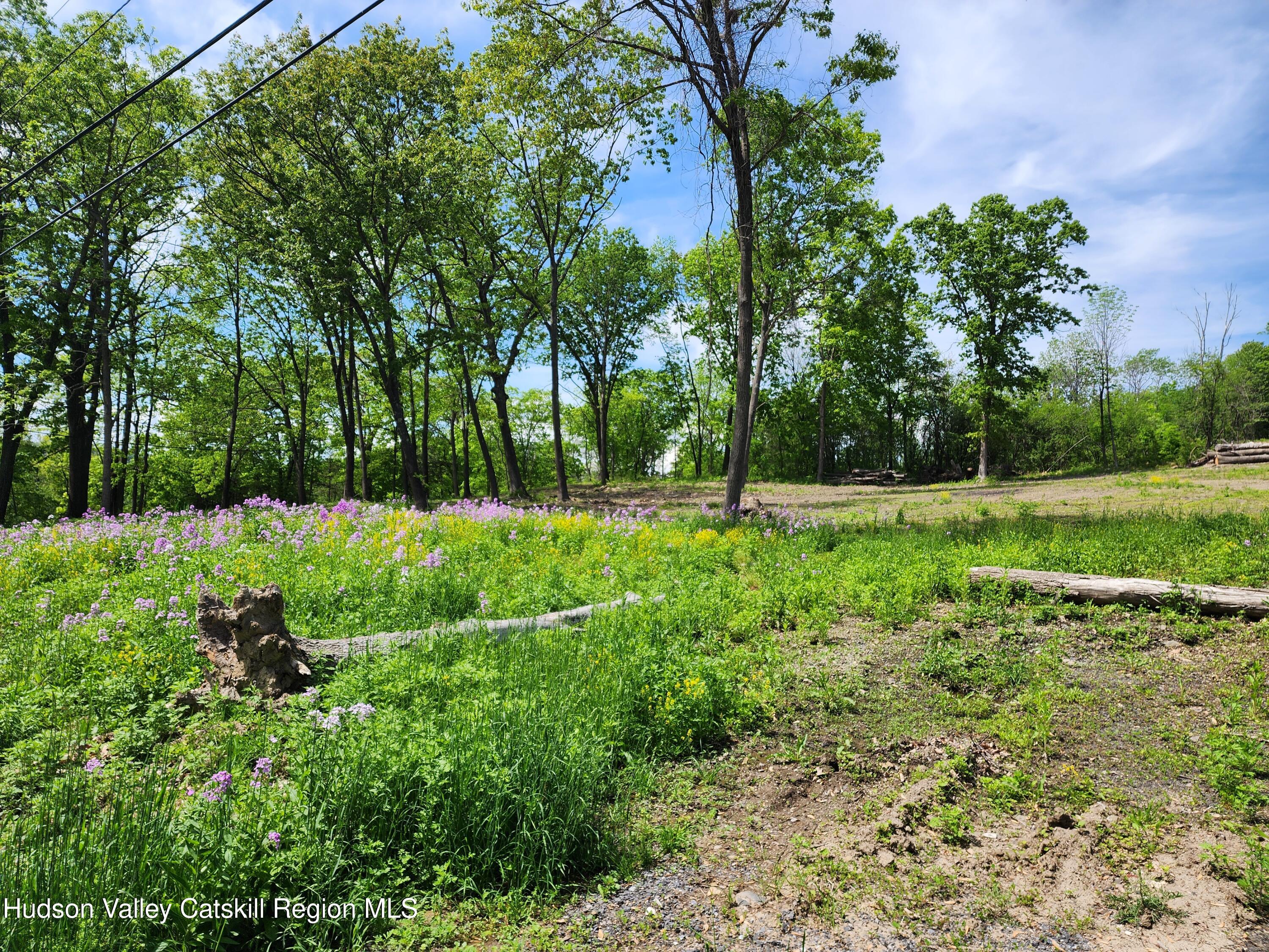 28 Vosenkill Road Catskill, NY 12414 - Photo 6 of 14 vacant land