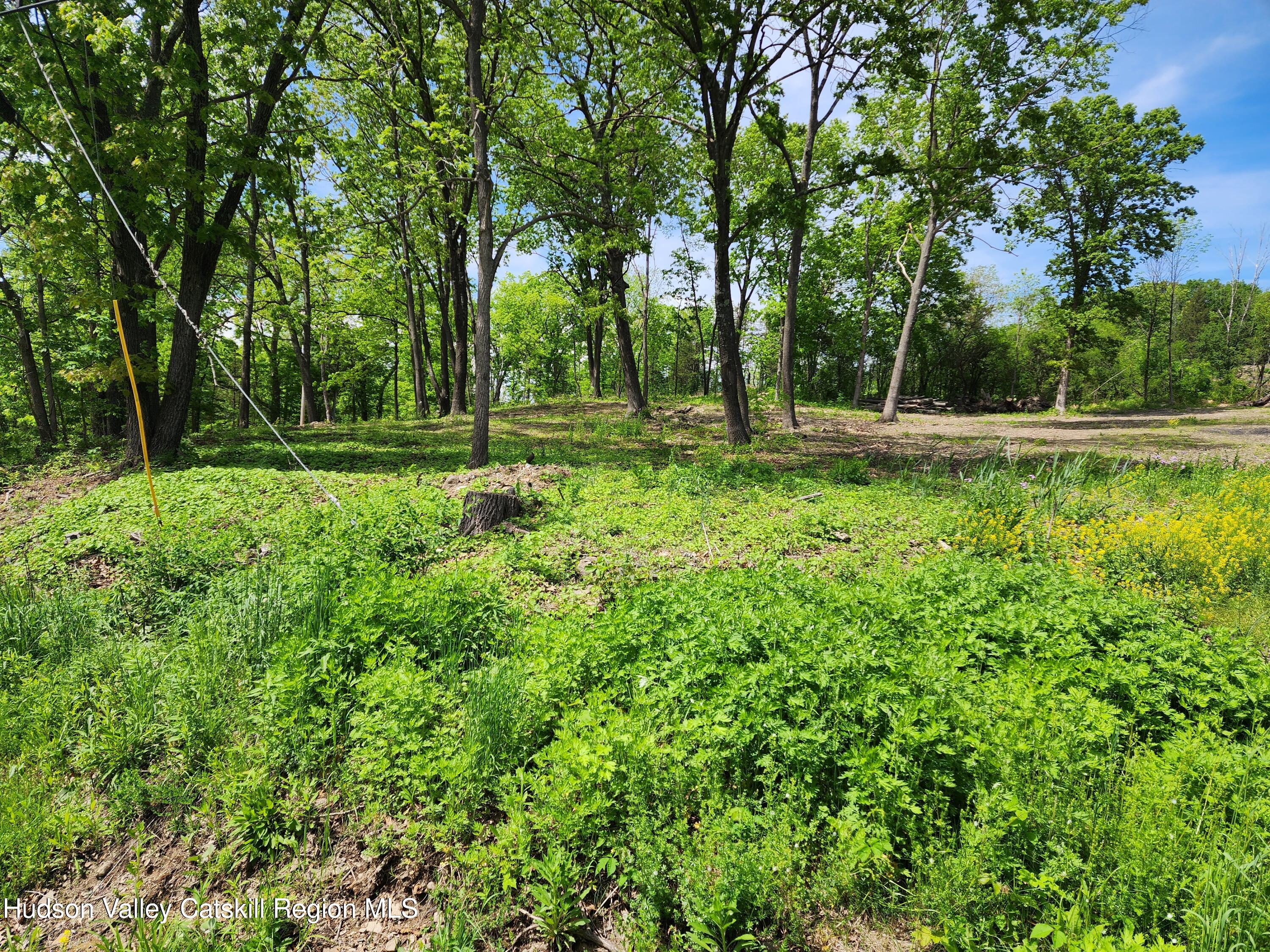 28 Vosenkill Road Catskill, NY 12414 - Photo 8 of 14 vacant land
