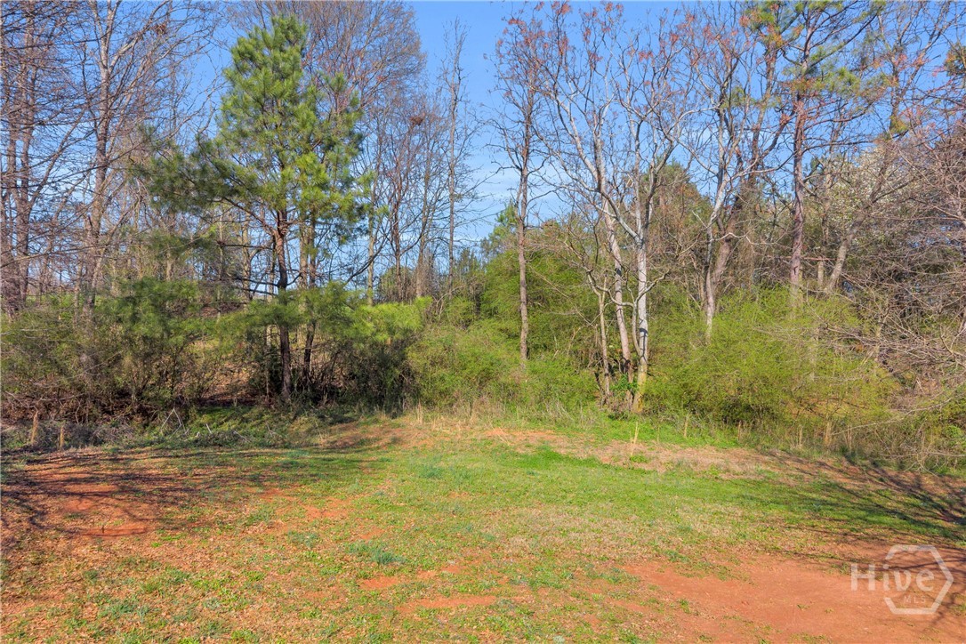 92 Timber Lane Royston, GA 30662 - Photo 56 of 73