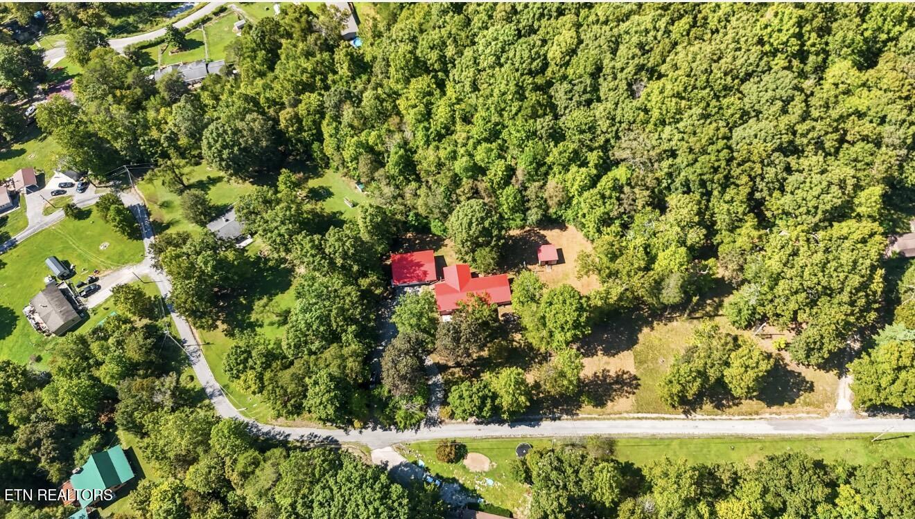 207 Chestnut Hill Road New Tazewell, TN 37825 - Photo 24 of 45 IMG_7629