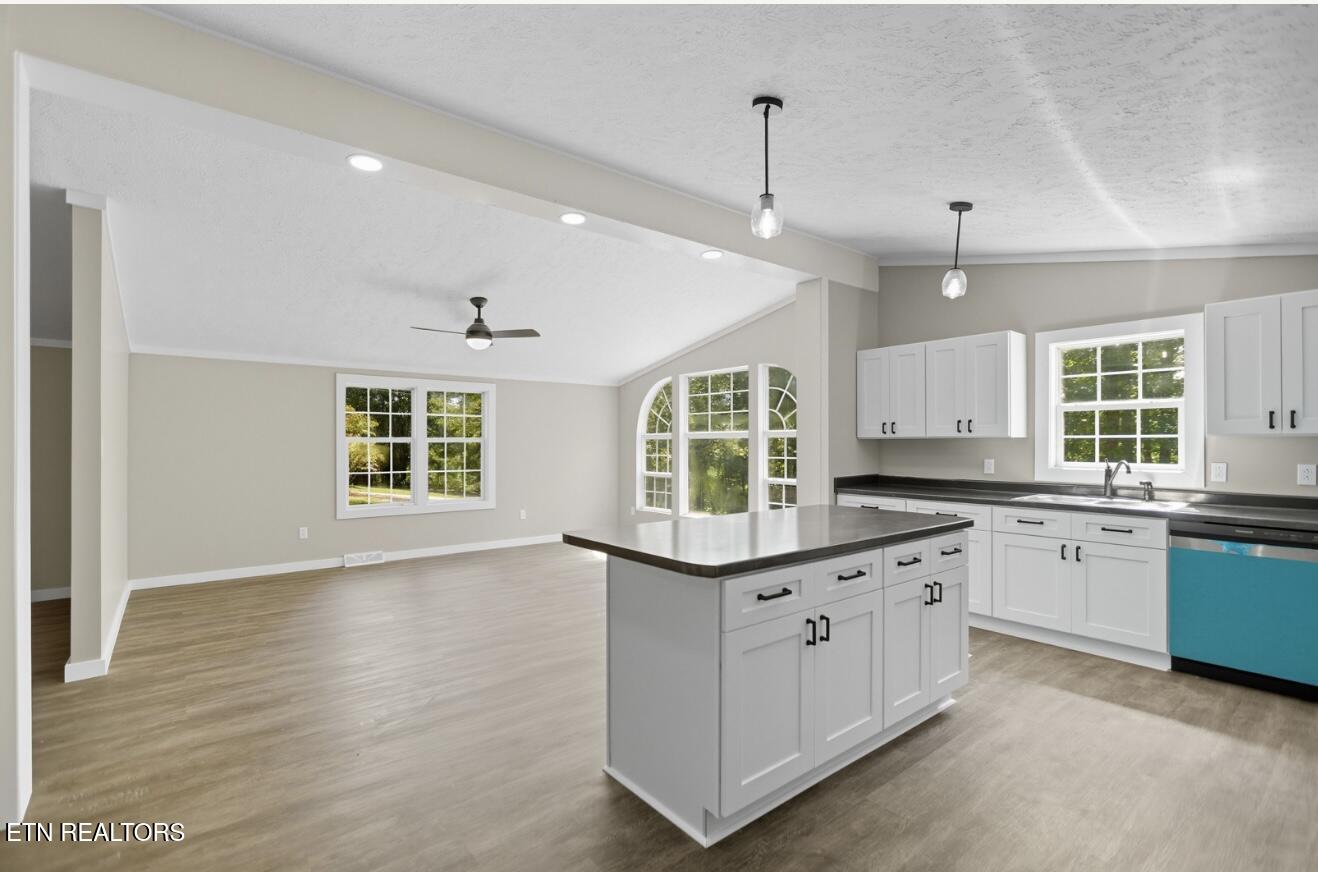 207 Chestnut Hill Road New Tazewell, TN 37825 - Photo 32 of 45 IMG_7658