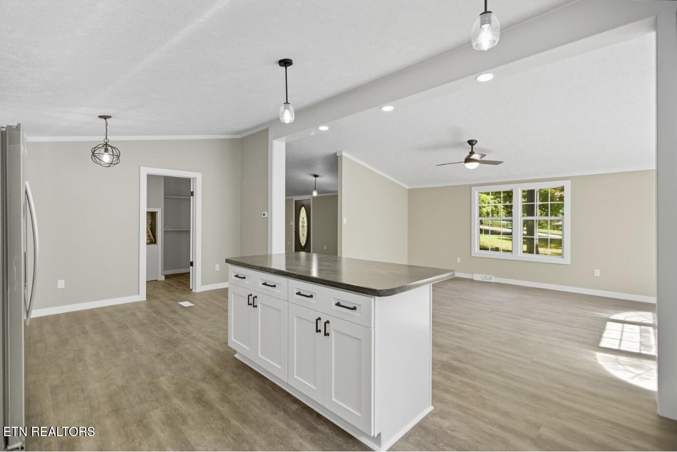 207 Chestnut Hill Road New Tazewell, TN 37825 - Photo 35 of 45 IMG_7667