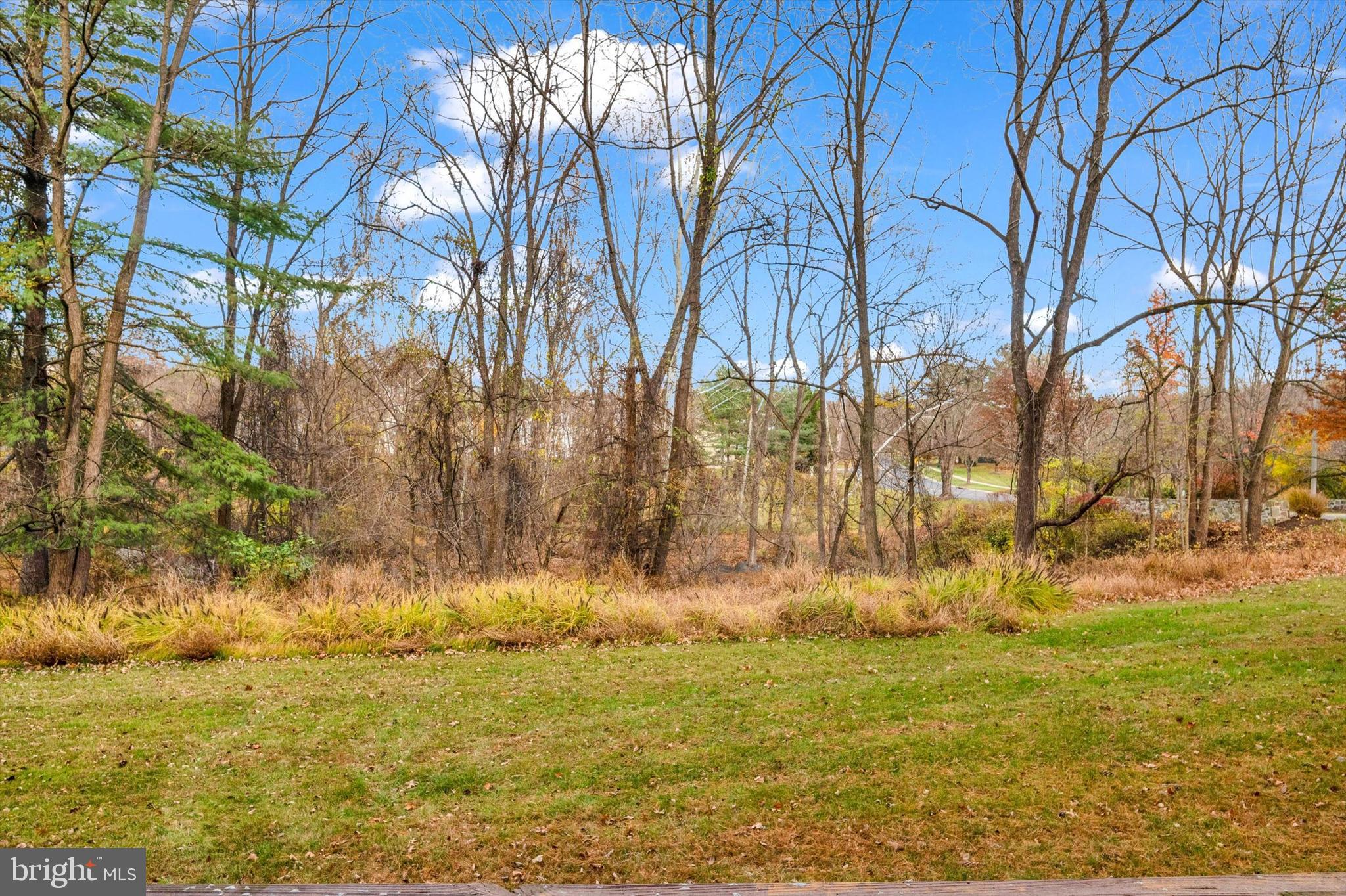 13201 Valley Bridge Court Silver Spring, MD 20906 - Photo 42 of 42 a view of yard with trees