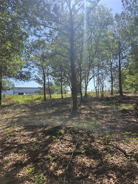 0 Southwest Mixson Road Lake City, FL 32024 - Photo 16 of 34 Gallery Image 16