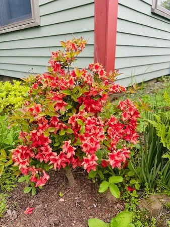 $795,000 | 104 Juniper Ridge Road, Brattleboro, VT 05301