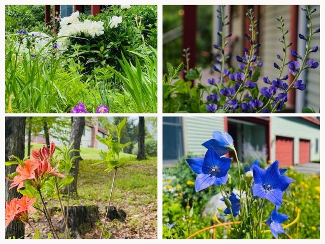 104 Juniper Ridge Road Brattleboro, VT 05301 - Photo 56 of 60