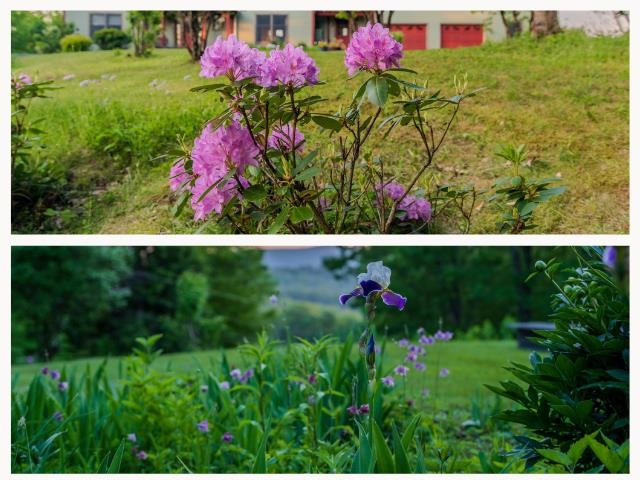 104 Juniper Ridge Road Brattleboro, VT 05301 - Photo 59 of 60