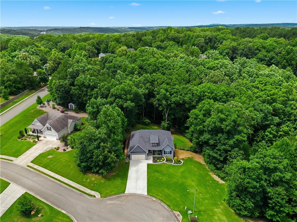 302 Spence Circle Ball Ground, GA 30107 - Photo 48 of 55 an aerial view of a house