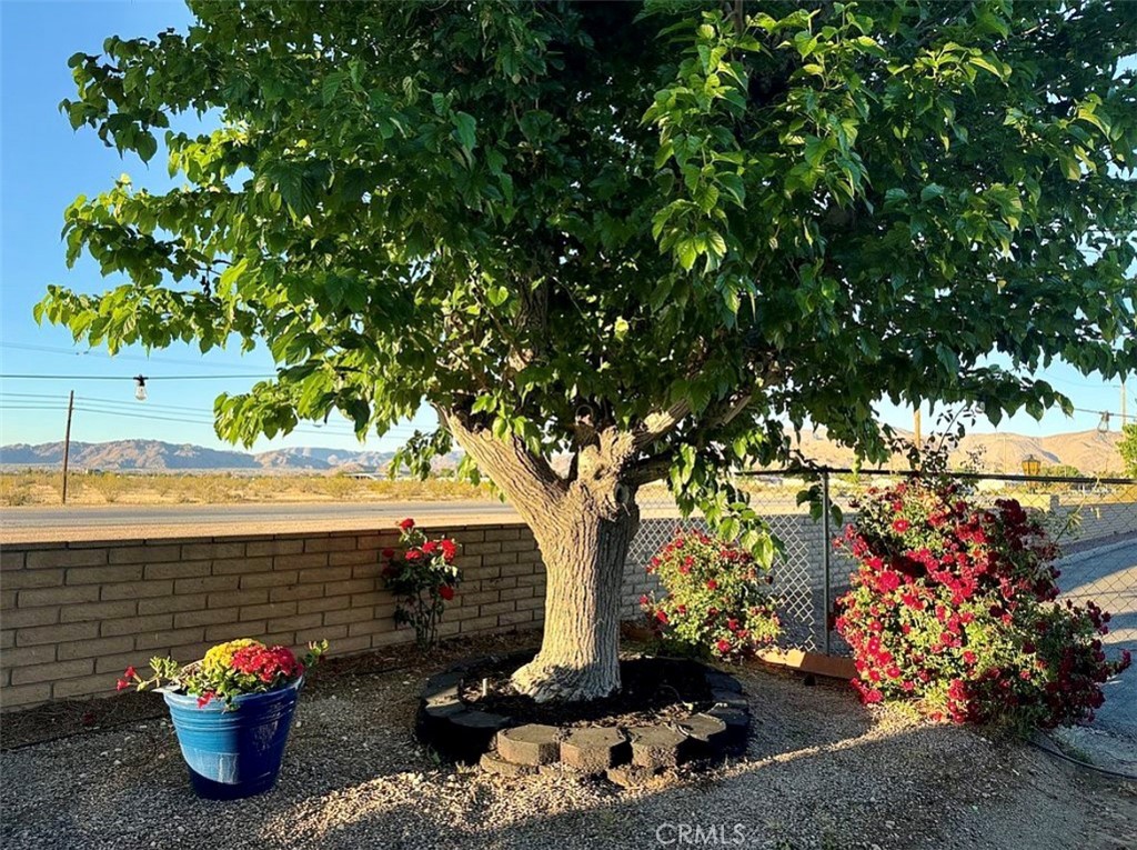 22601 Bear Valley Road, Unit 63 Apple Valley, CA 92308 - Photo 28 of 31 a bunch of flowers are in a yard