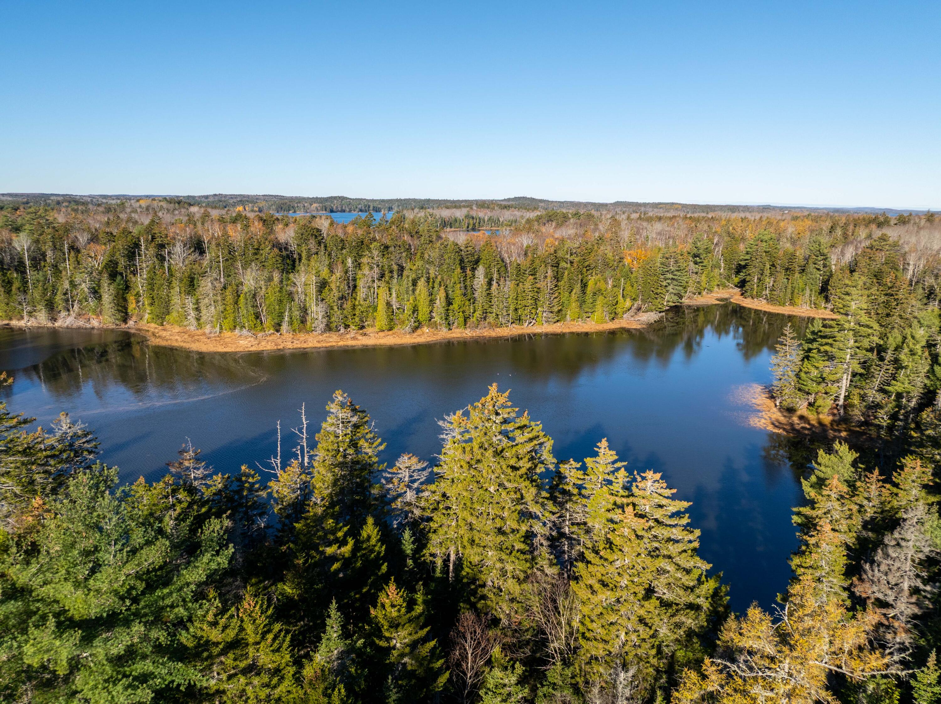 1-4 Wa035 Lubec, ME 04652 - Photo 12 of 30 Lot M01-40.6 Trescott (10 of 26)