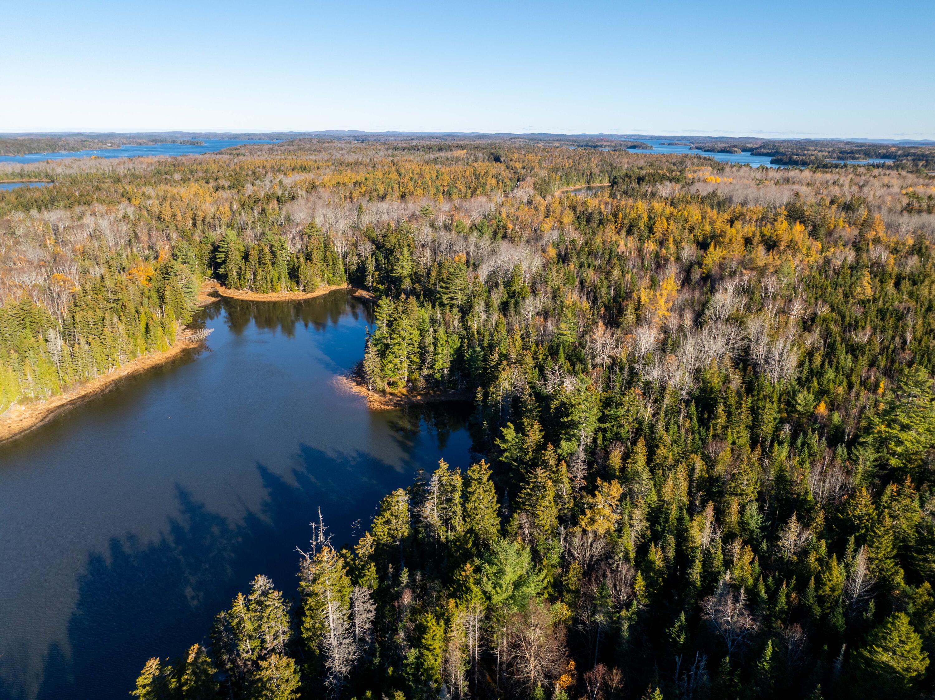 1-4 Wa035 Lubec, ME 04652 - Photo 15 of 30 Lot M01-40.6 Trescott (13 of 26)