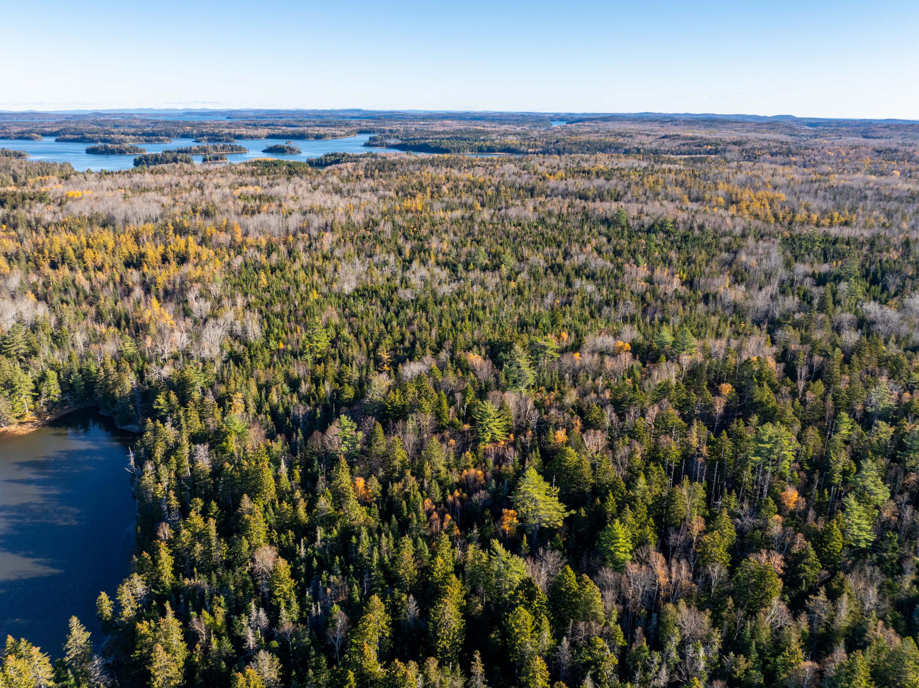 1-4 Wa035 Lubec, ME 04652 - Photo 21 of 30 Lot M01-40.6 Trescott (19 of 26)