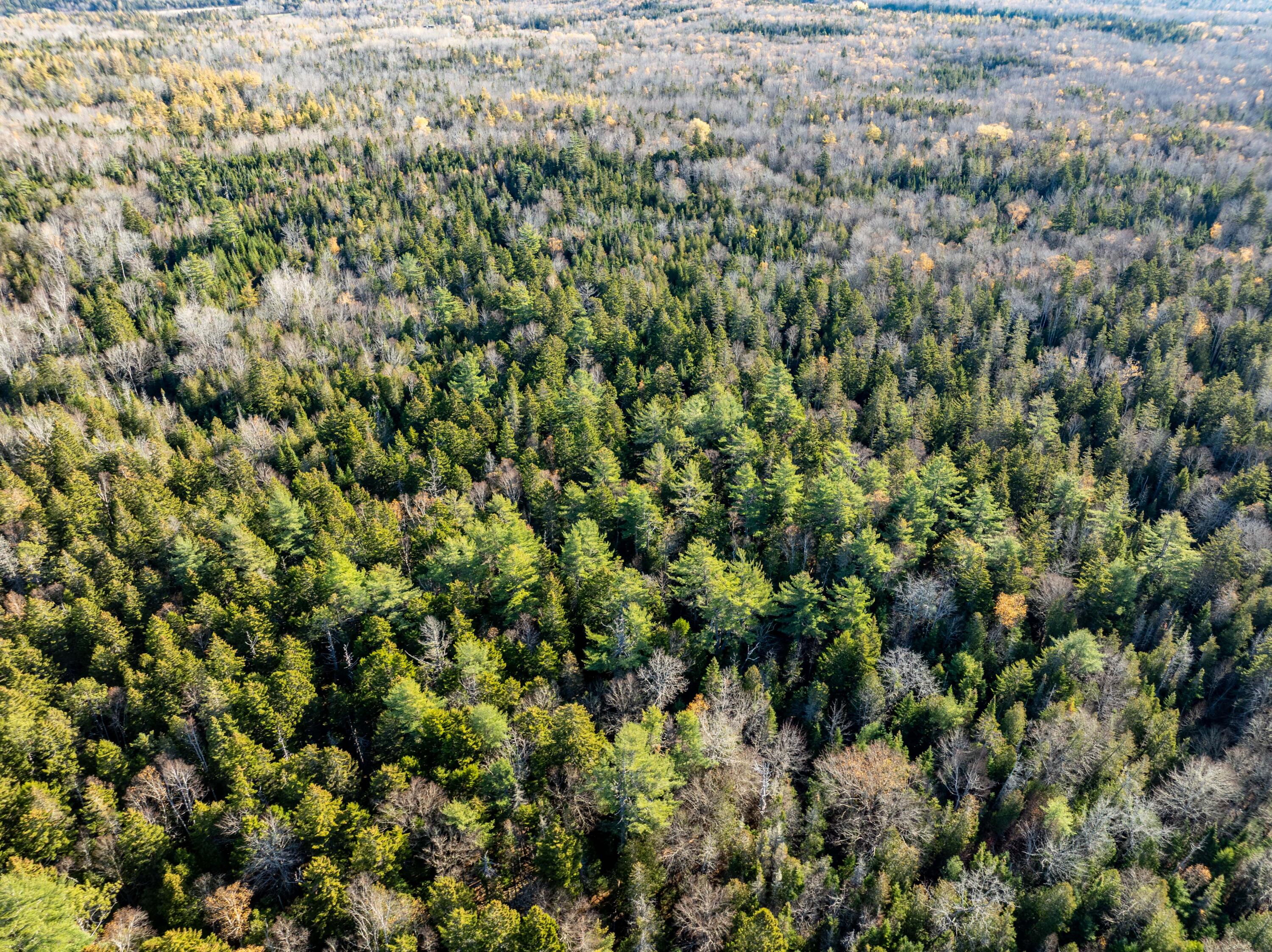 1-4 Wa035 Lubec, ME 04652 - Photo 22 of 30 Lot M01-40.6 Trescott (20 of 26)