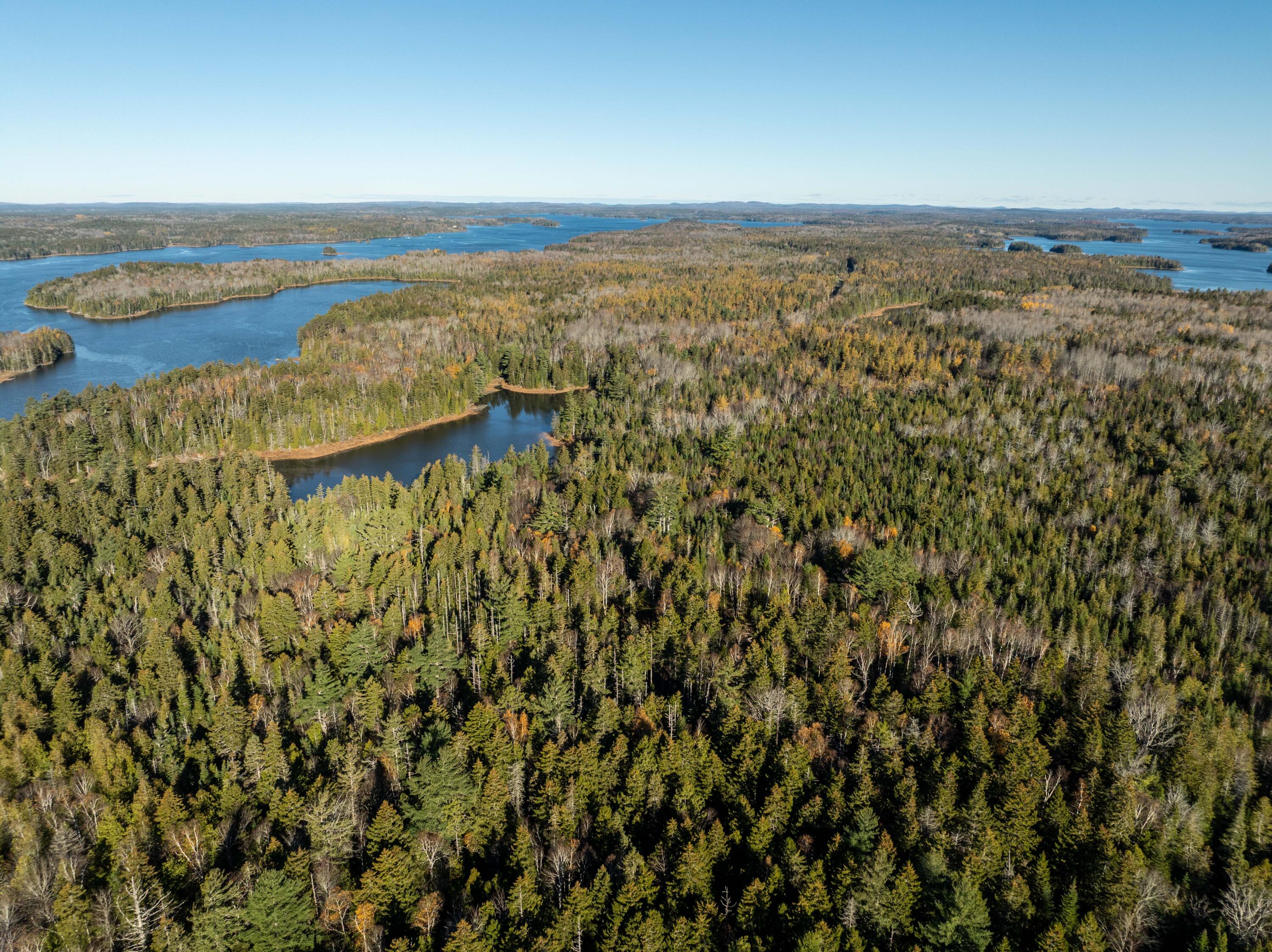 1-4 Wa035 Lubec, ME 04652 - Photo 23 of 30 Lot M01-40.6 Trescott (21 of 26)