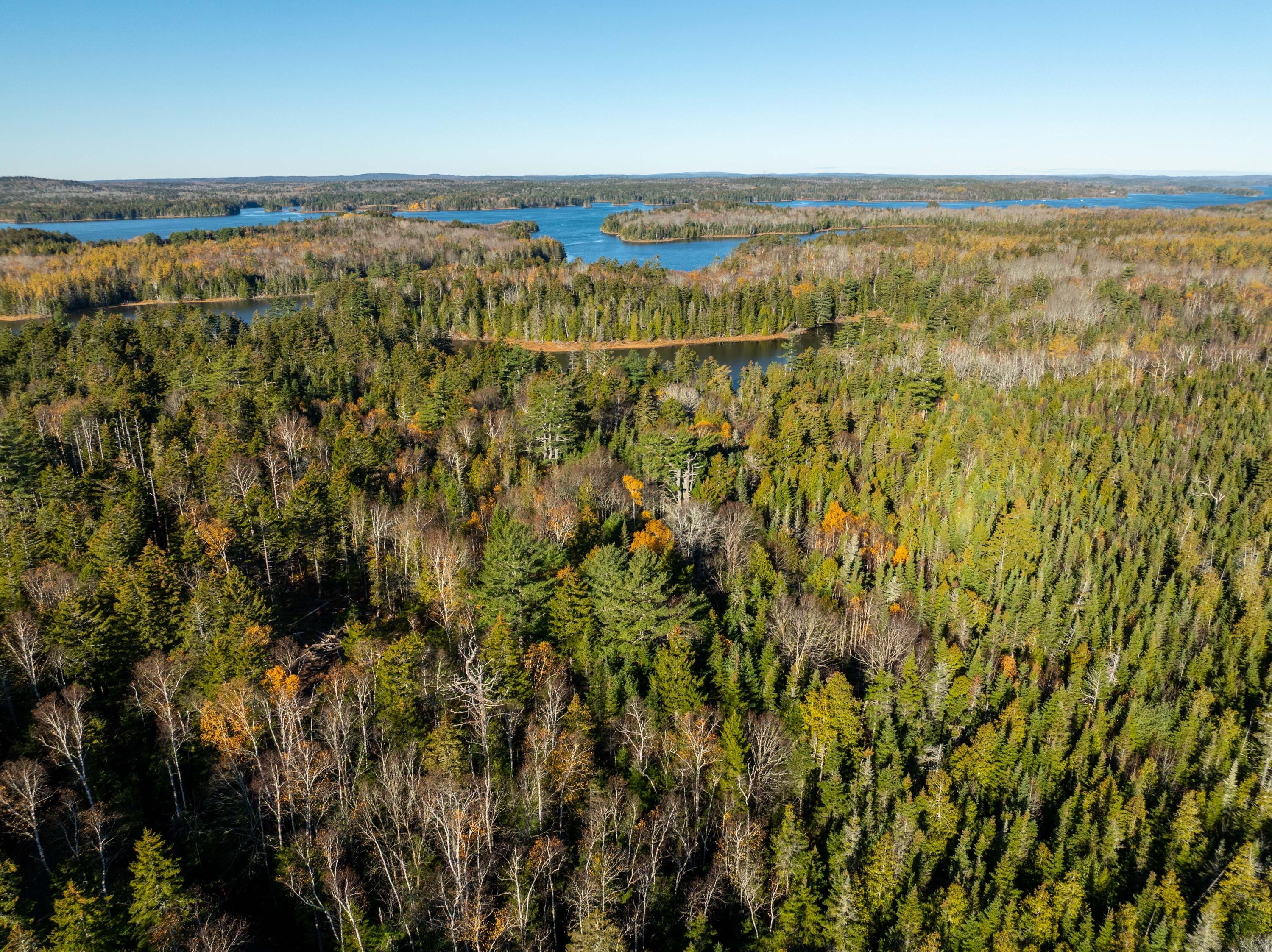 1-4 Wa035 Lubec, ME 04652 - Photo 24 of 30 Lot M01-40.6 Trescott (22 of 26)