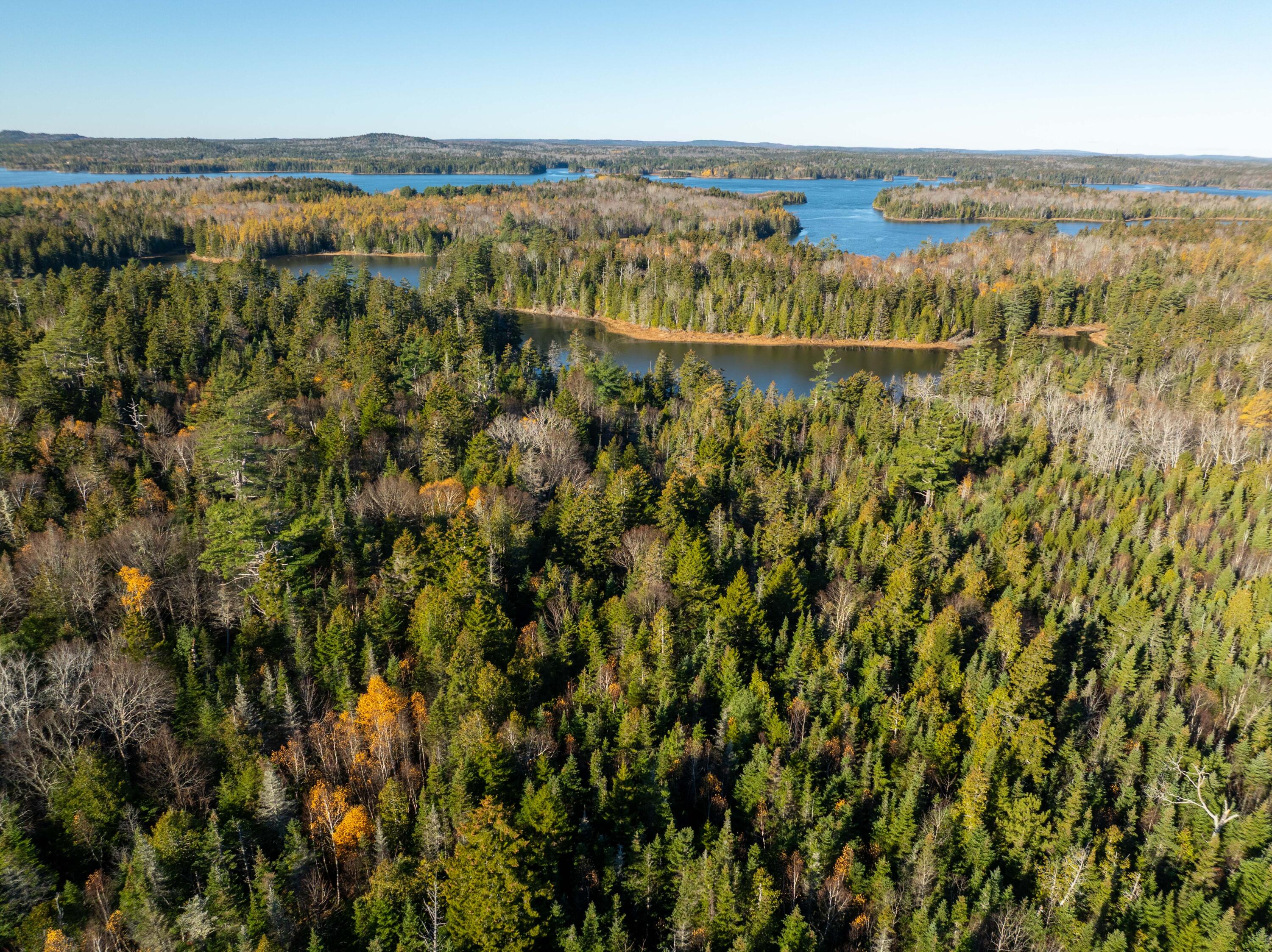 1-4 Wa035 Lubec, ME 04652 - Photo 25 of 30 Lot M01-40.6 Trescott (23 of 26)