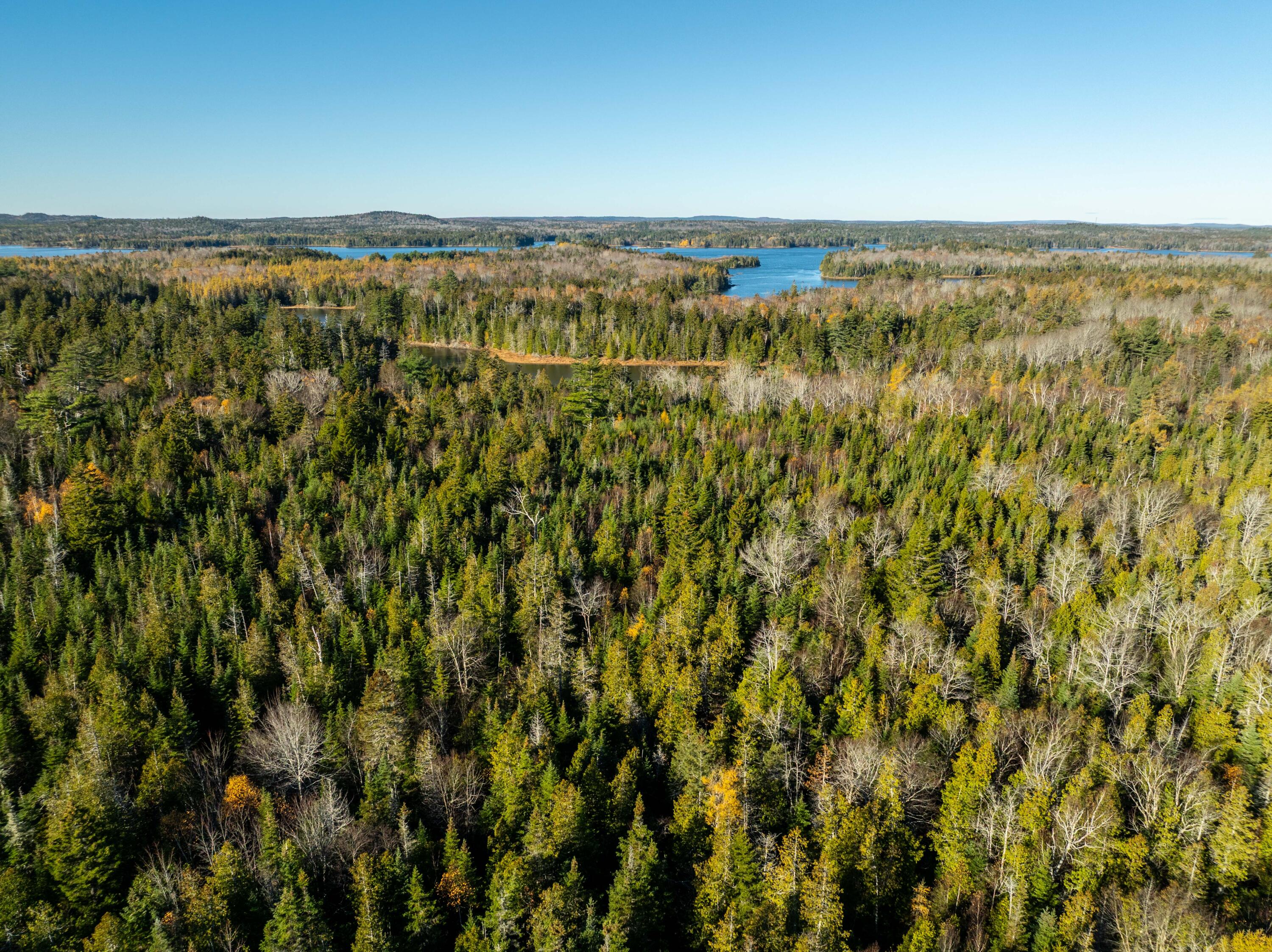 1-4 Wa035 Lubec, ME 04652 - Photo 26 of 30 Lot M01-40.6 Trescott (24 of 26)