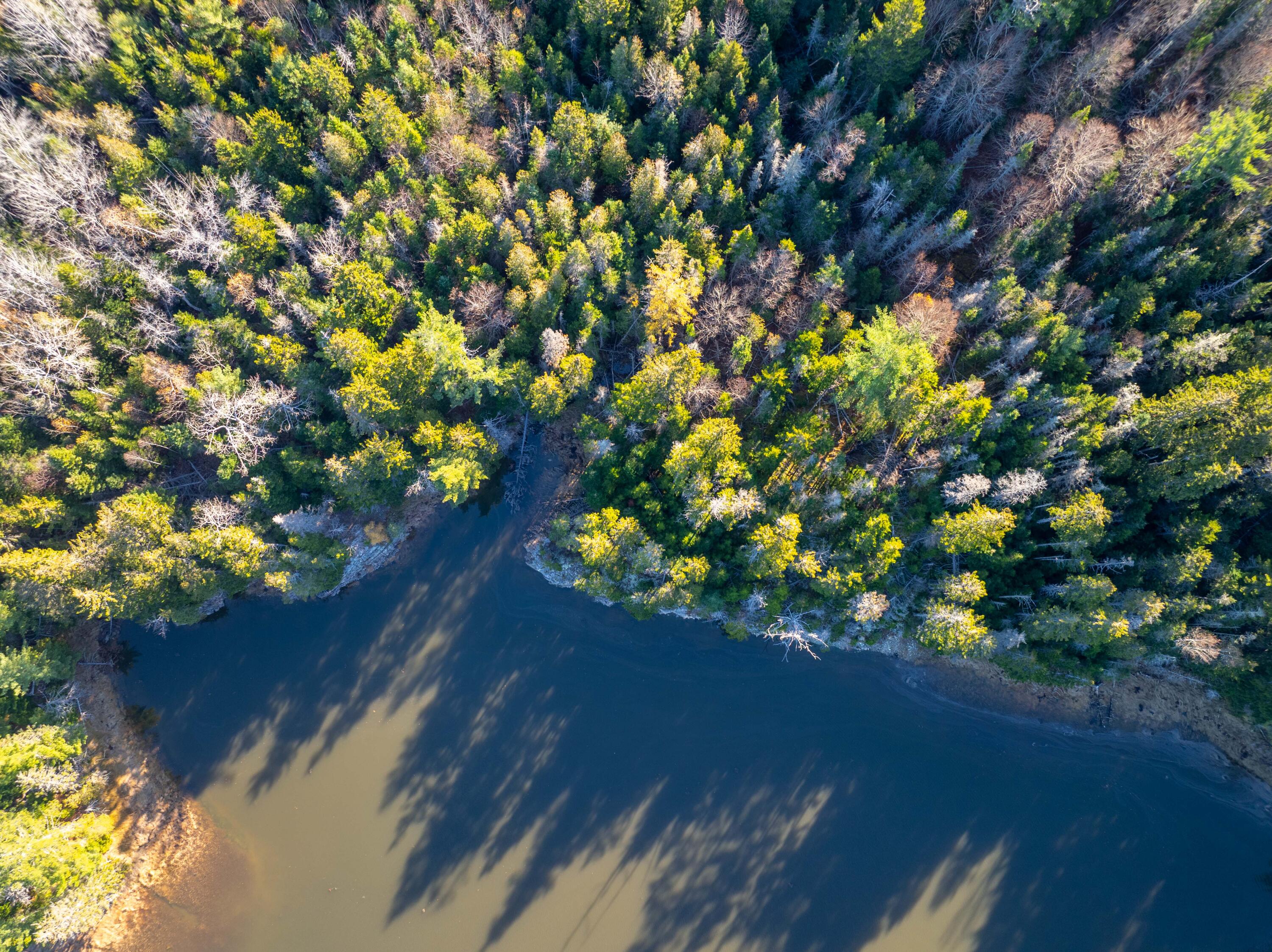 1-4 Wa035 Lubec, ME 04652 - Photo 8 of 30 Lot M01-40.6 Trescott (4 of 26)
