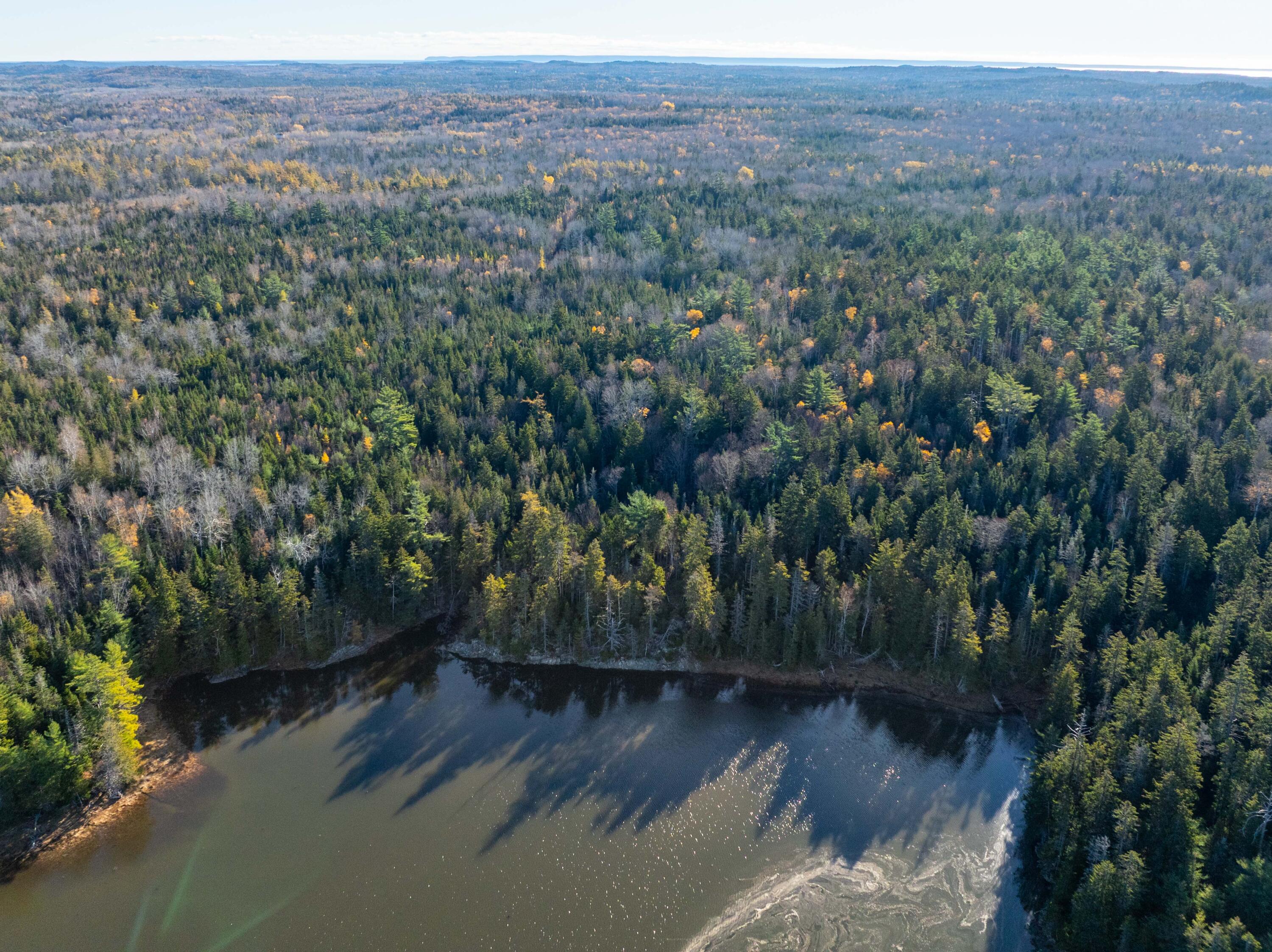 1-4 Wa035 Lubec, ME 04652 - Photo 9 of 30 Lot M01-40.6 Trescott (5 of 26)