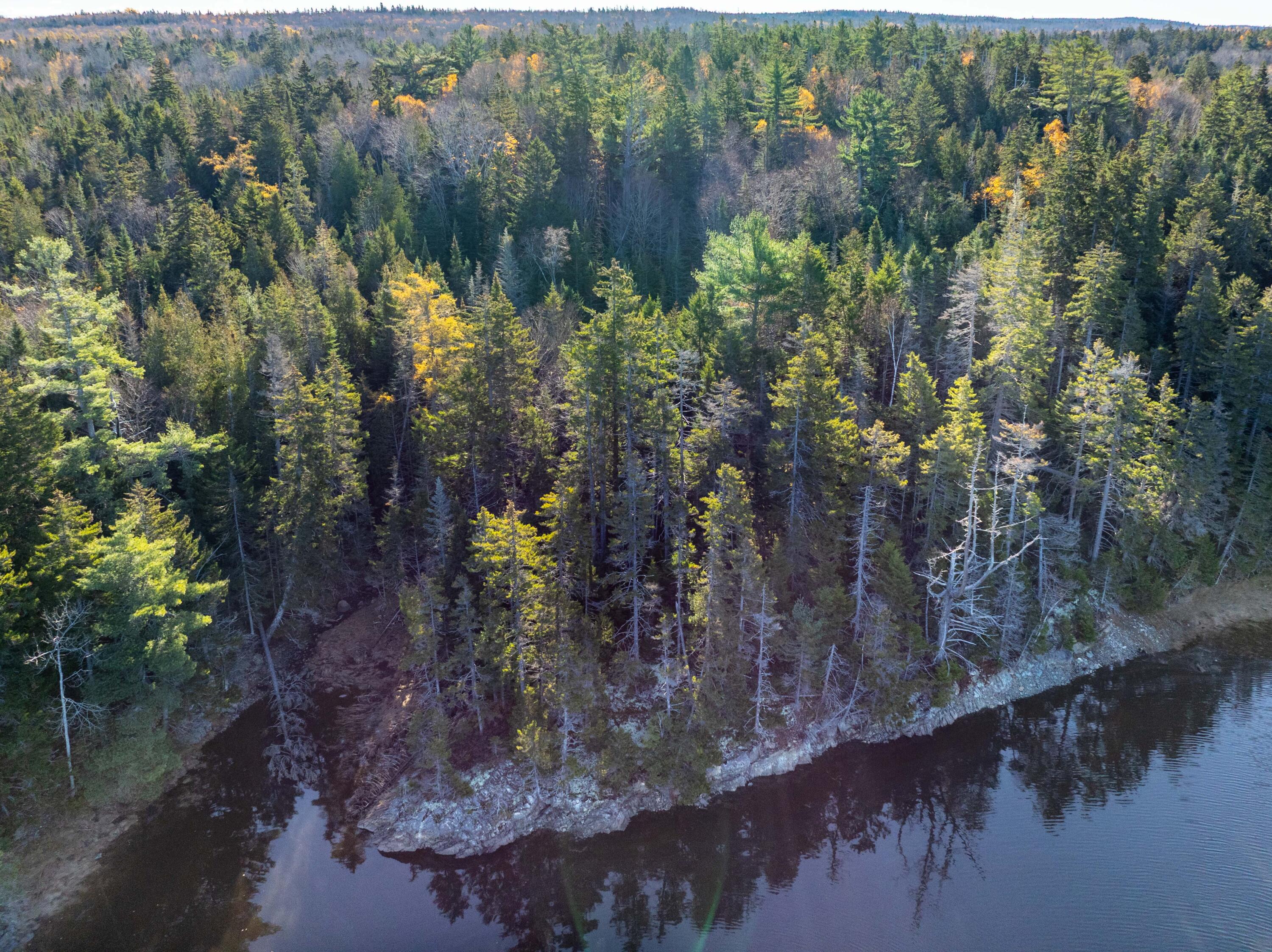 1-4 Wa035 Lubec, ME 04652 - Photo 10 of 30 Lot M01-40.6 Trescott (6 of 26)