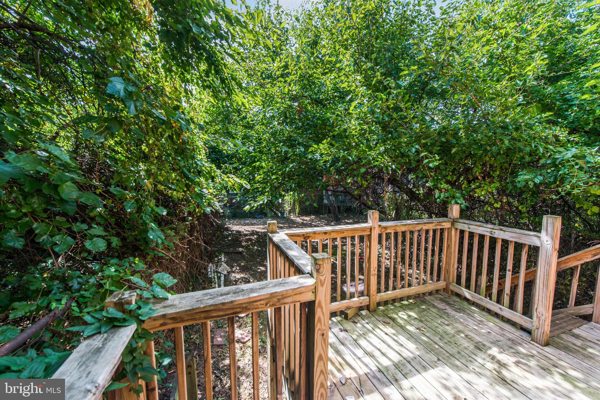 5436 Chestnut Street, Unit A Philadelphia, PA 19139 - Photo 29 of 30 Deck Area