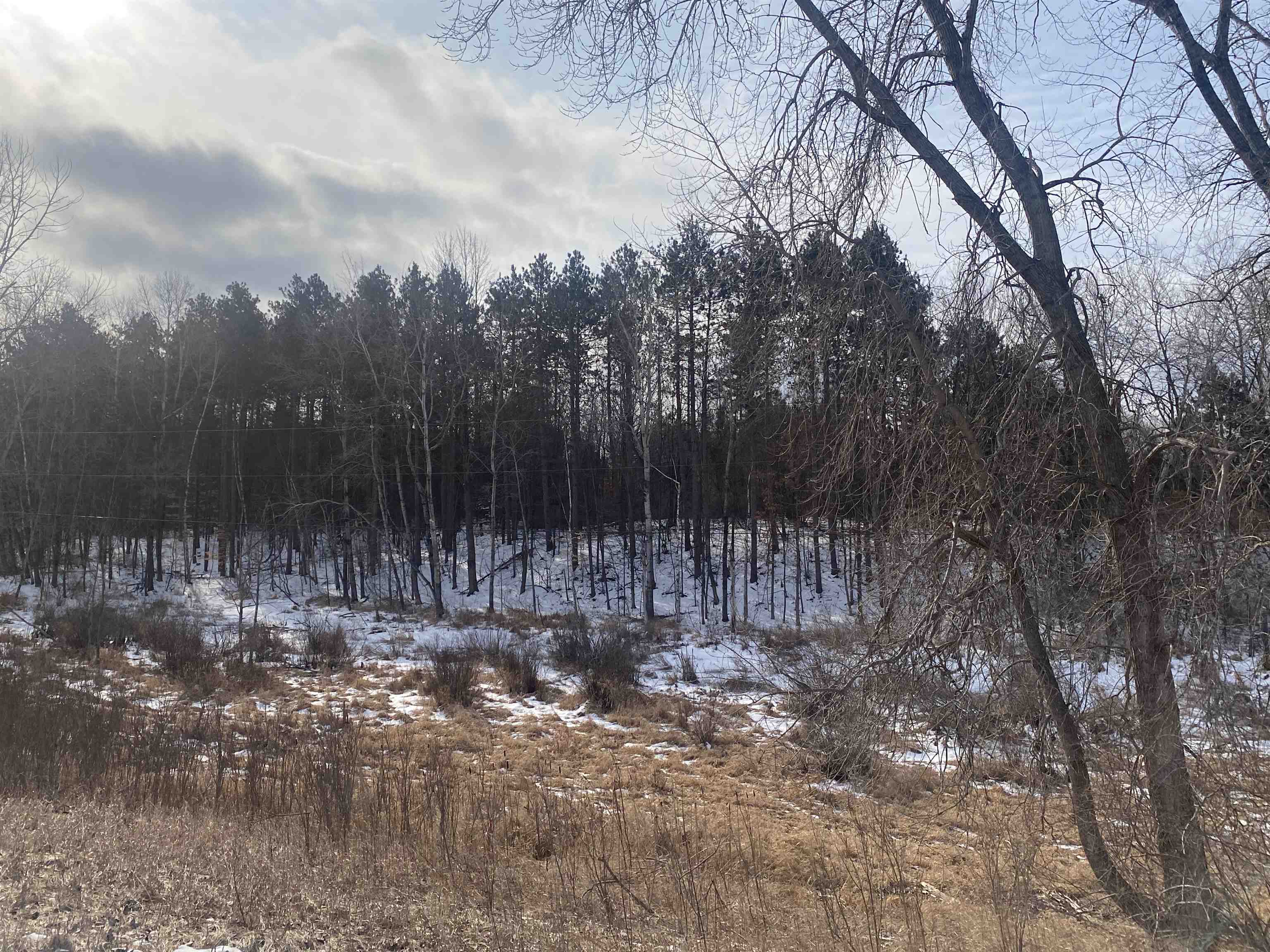 Tbd West Tbd W Remus Road Remus, MI 49340 - Photo 6 of 11 1897555-5.JPG