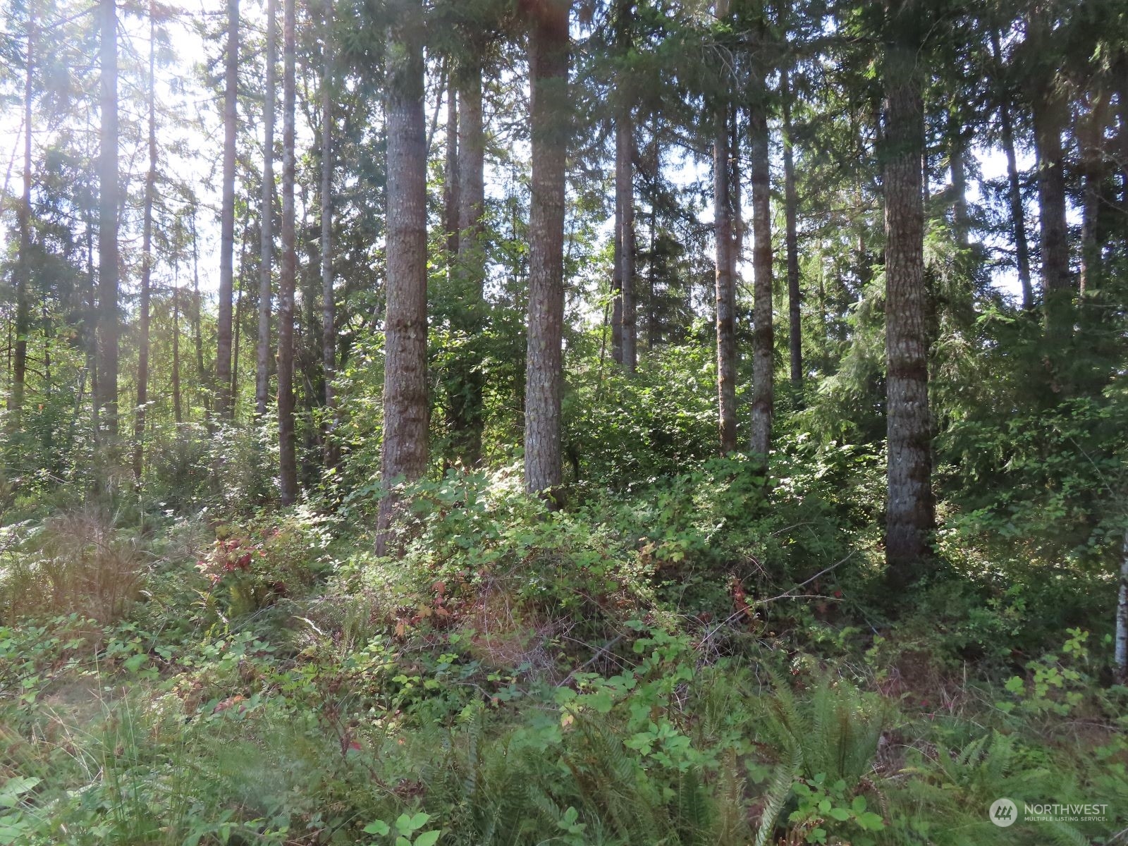-xxx Alpenridge Road Kelso, WA 98626 - Photo 1 of 26 Gallery Image 1