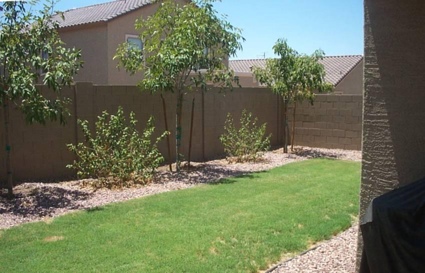 9953 West Chipman Road Tolleson, AZ 85353 - Photo 10 of 10 Back Yard