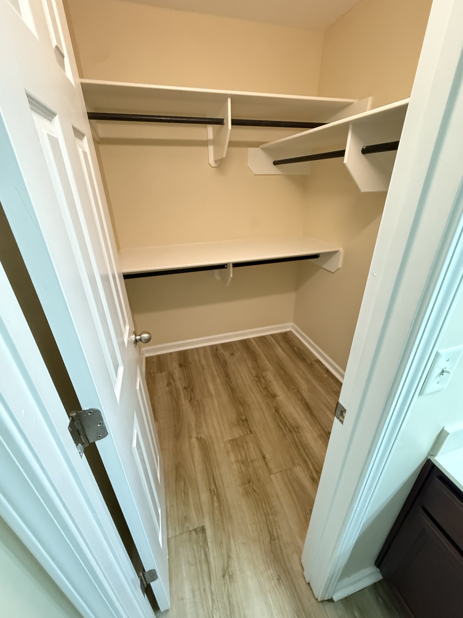 1040 Shaman Crossing Murfreesboro, TN 37128 - Photo 12 of 20 a view of walk in closet