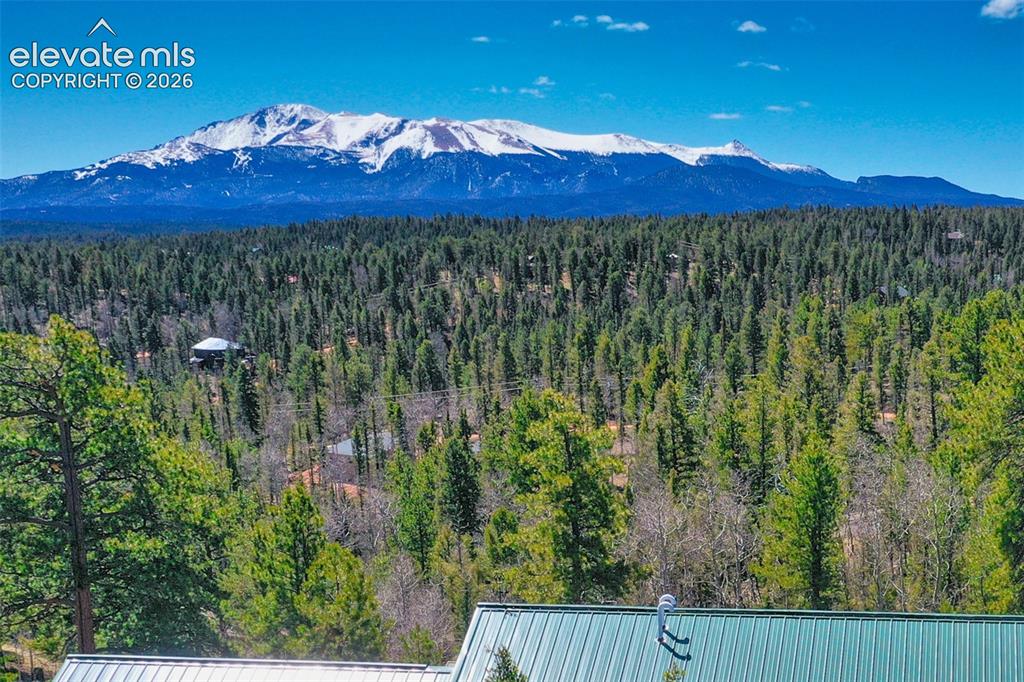 5542 N Road Divide, CO 80814 - Photo 2 of 50