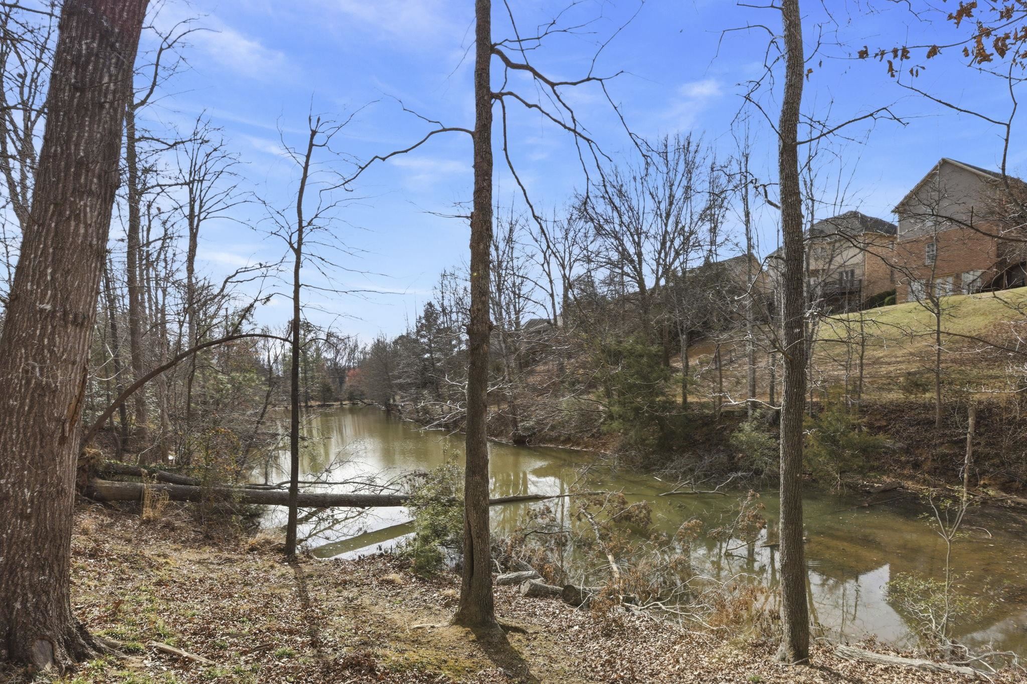 652 Mt Vernon Lane Duncan, SC 29334 - Photo 44 of 48