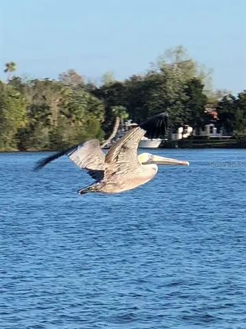 $353,900 | 11006 West Cove Harbor Drive, Unit 16, Crystal River, FL 34428