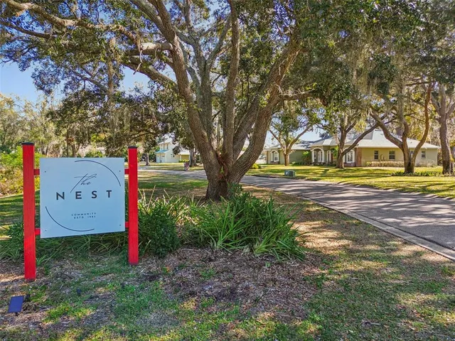 a view of a park with large trees
