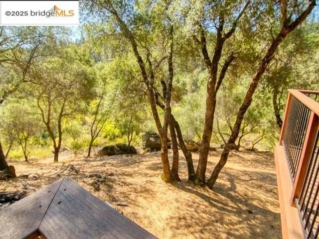 a view of a yard with trees