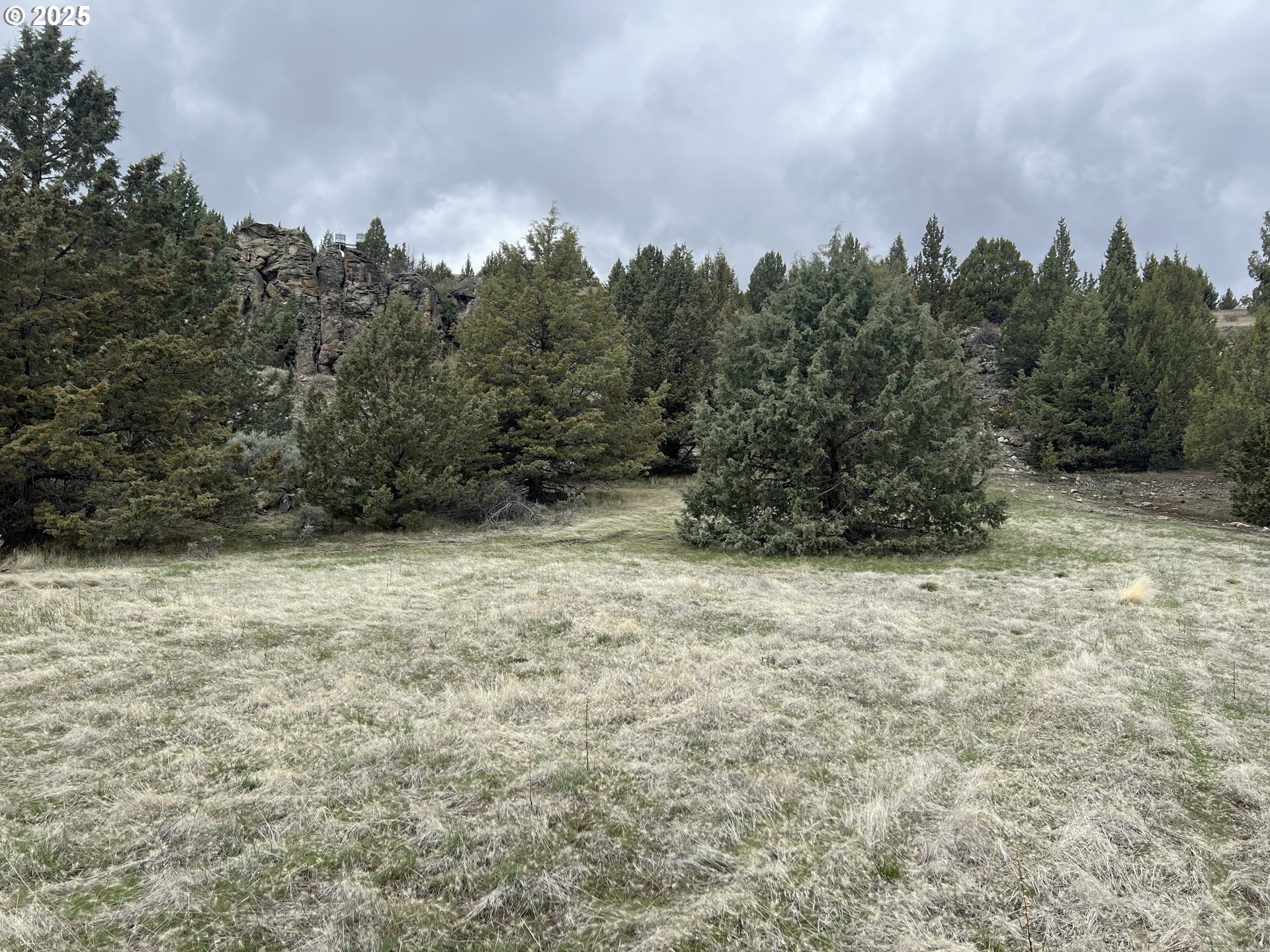 0 Blue Gulch Road Canyon City, OR 97820 - Photo 14 of 20