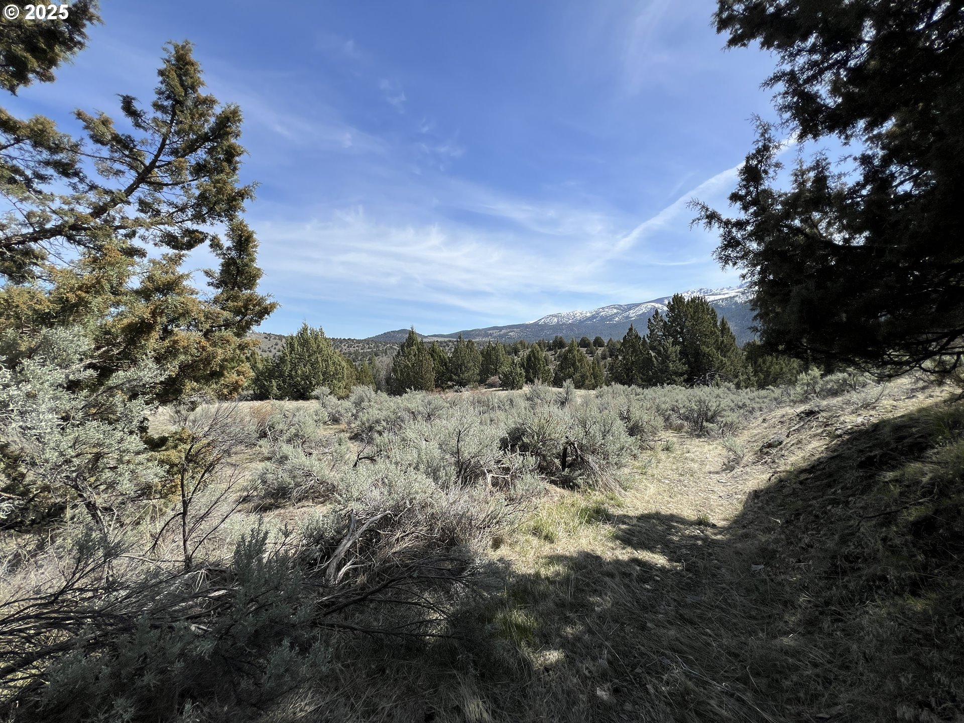 0 Blue Gulch Road Canyon City, OR 97820 - Photo 4 of 20