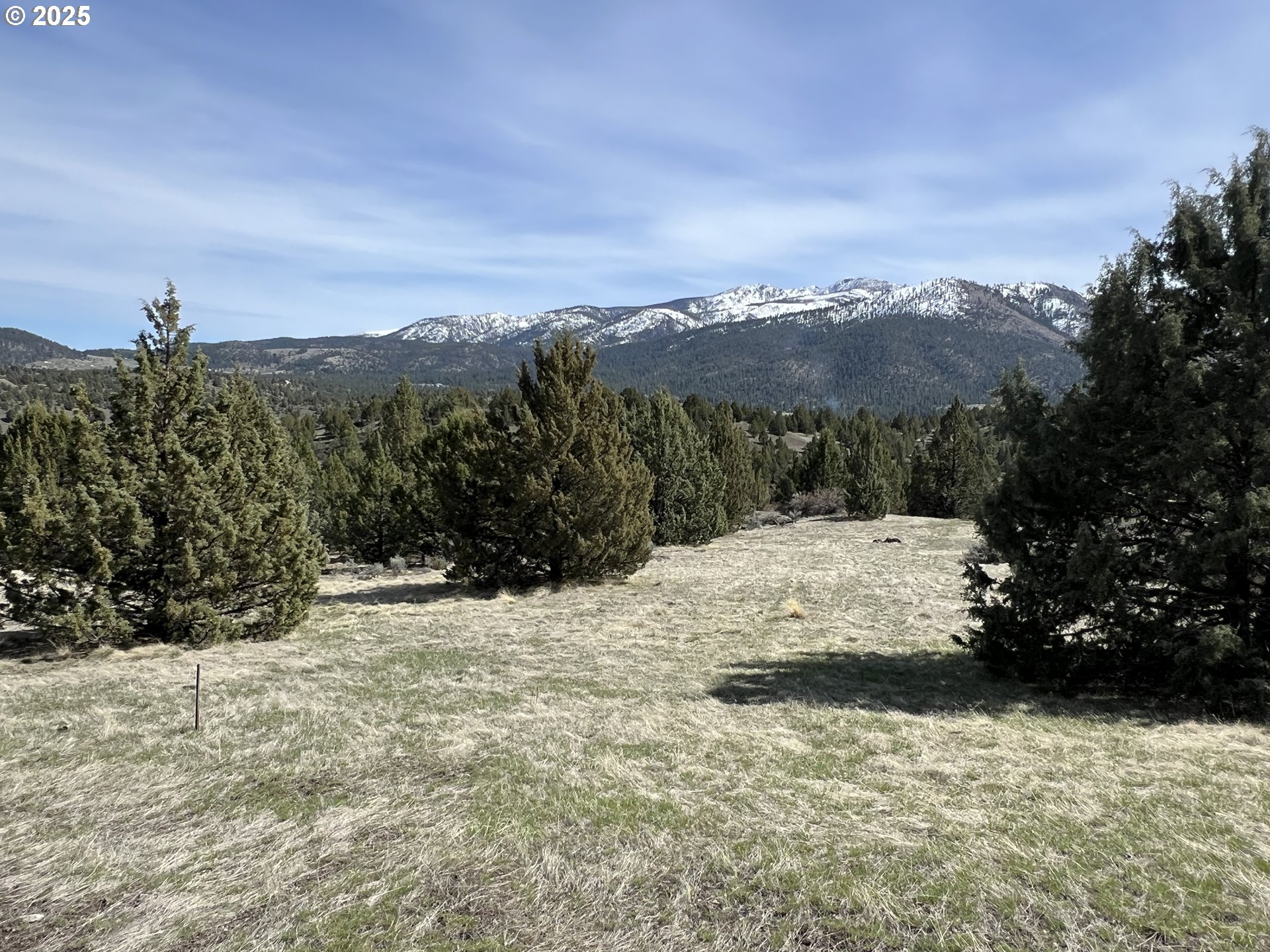 0 Blue Gulch Road Canyon City, OR 97820 - Photo 6 of 20
