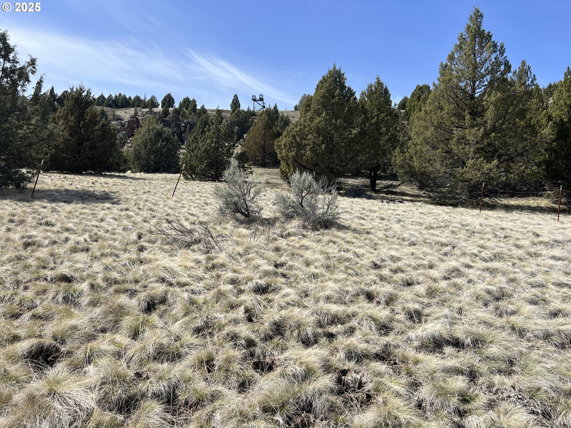 0 Blue Gulch Road Canyon City, OR 97820 - Photo 7 of 20